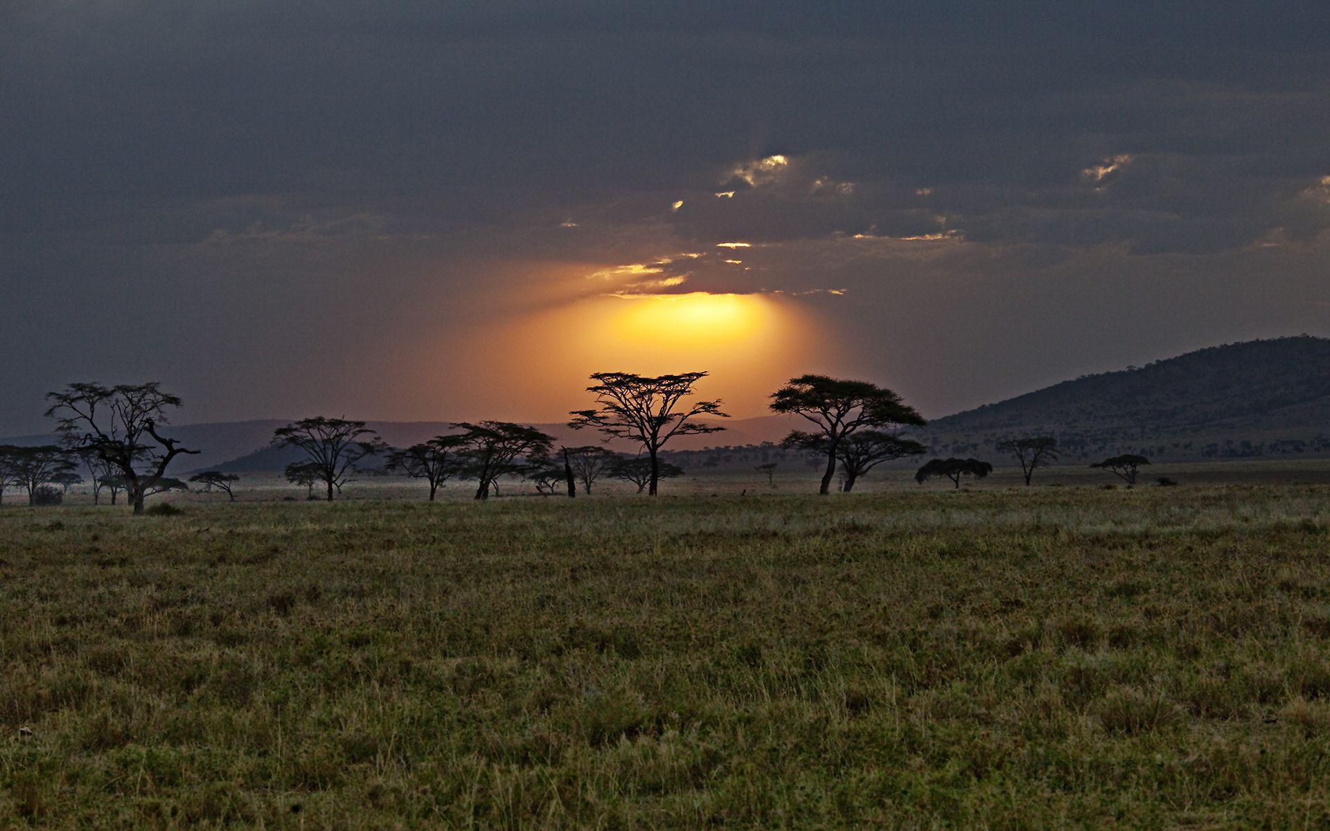 Kenya Wallpapers Wallpaper Cave