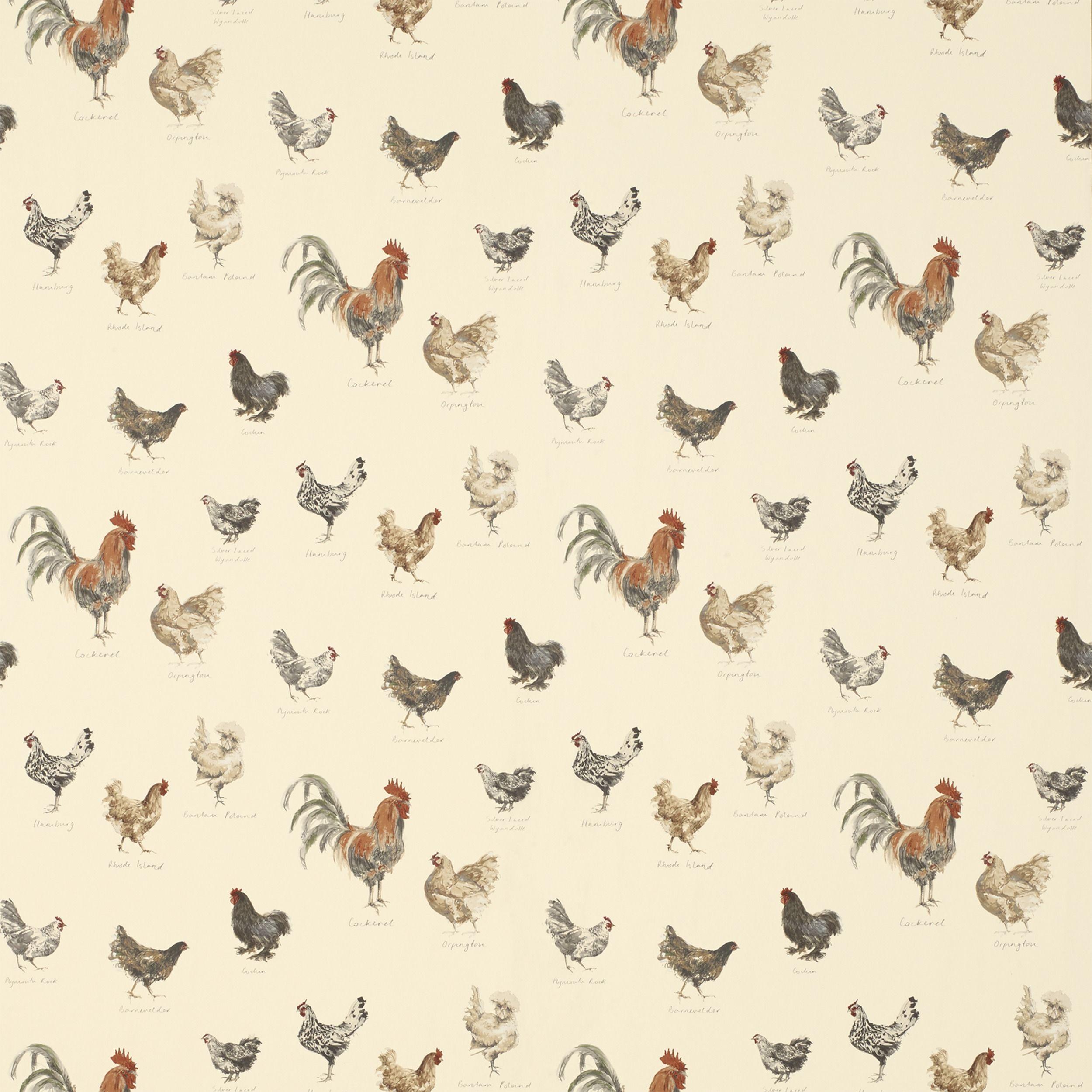 Chickens Wallpapers Wallpaper Cave