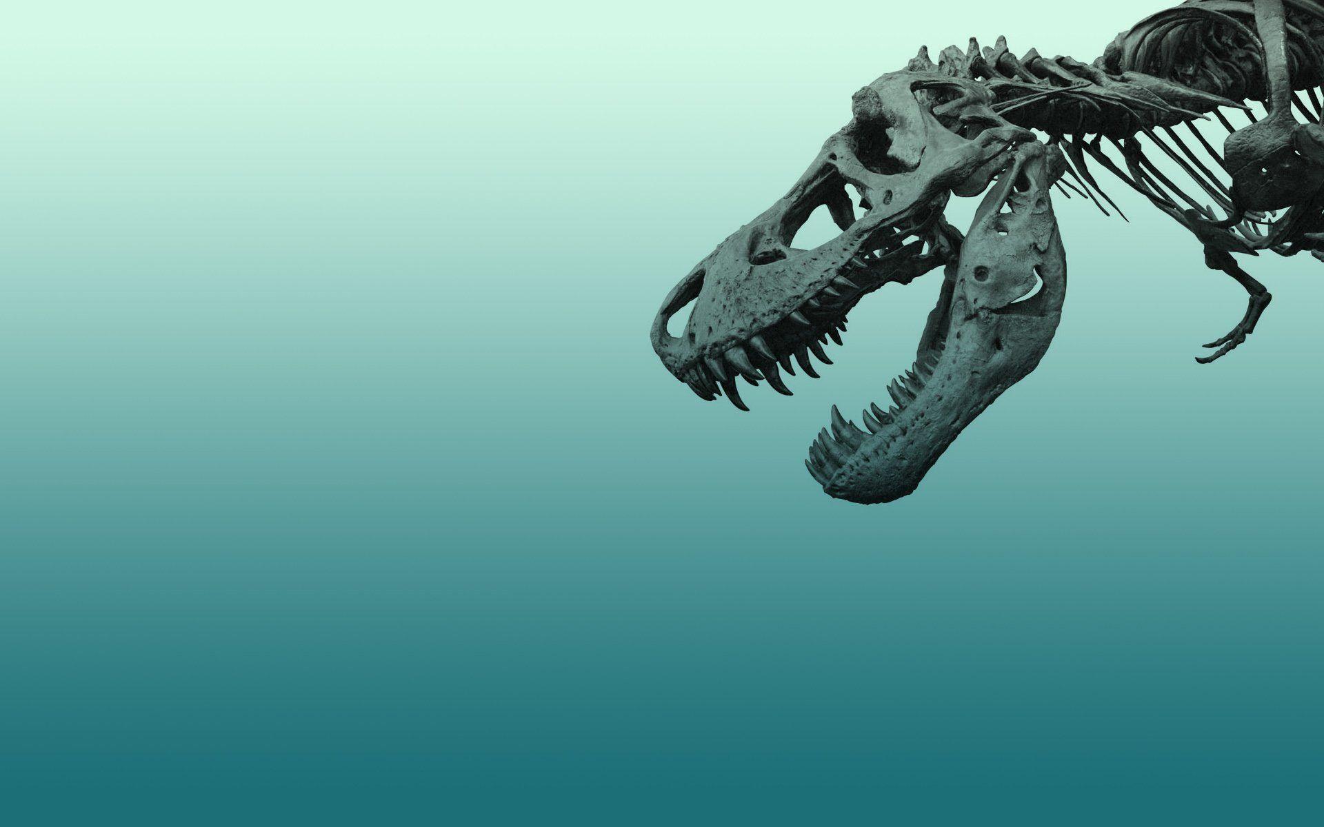 Velociraptor Blue Wallpapers Wallpaper Cave