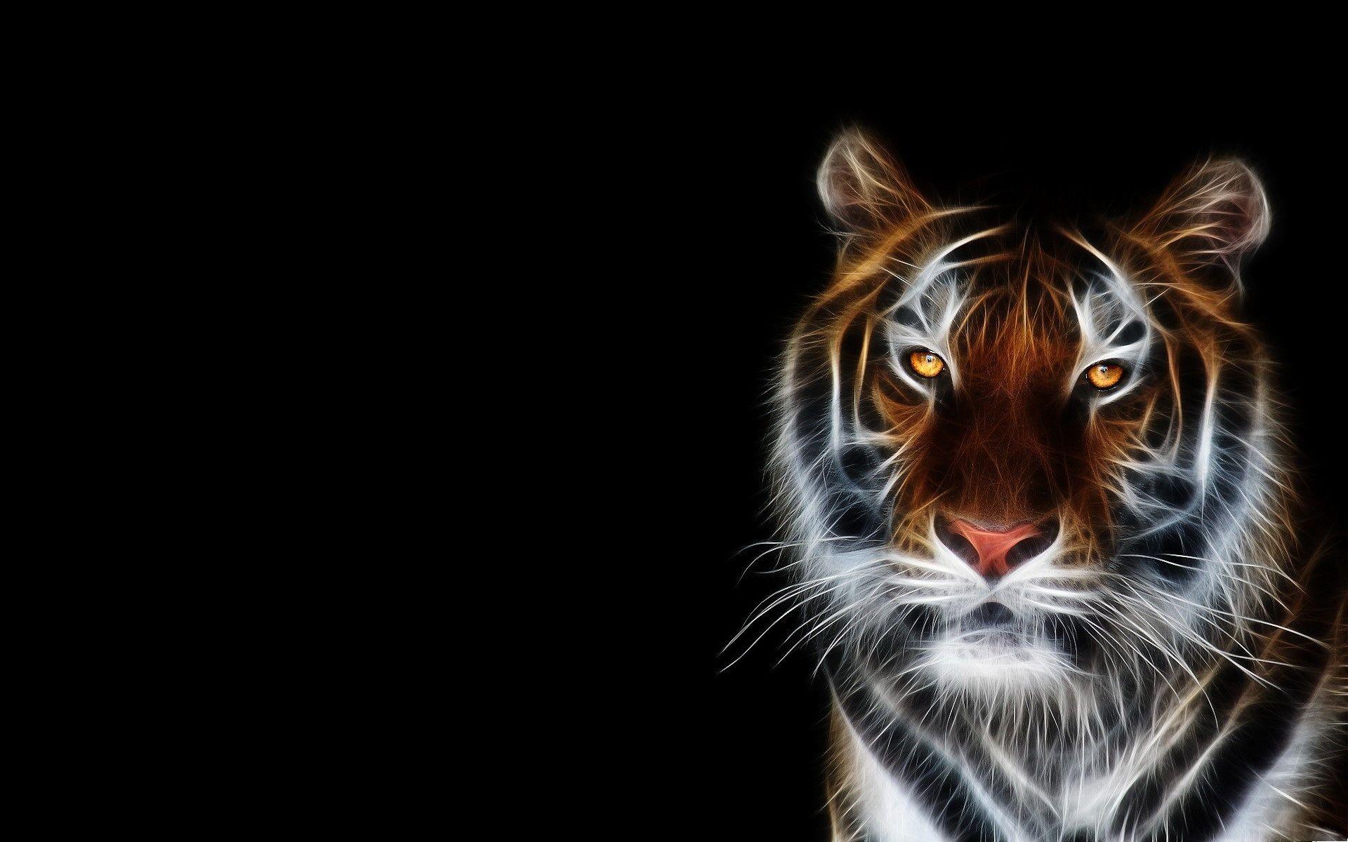 Black Tiger Wallpaper Hd 1080p
