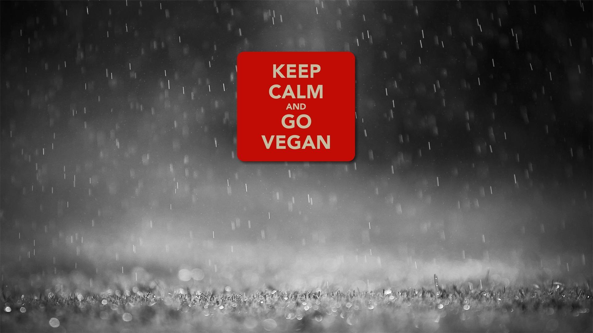 Vegan Wallpapers Wallpaper Cave