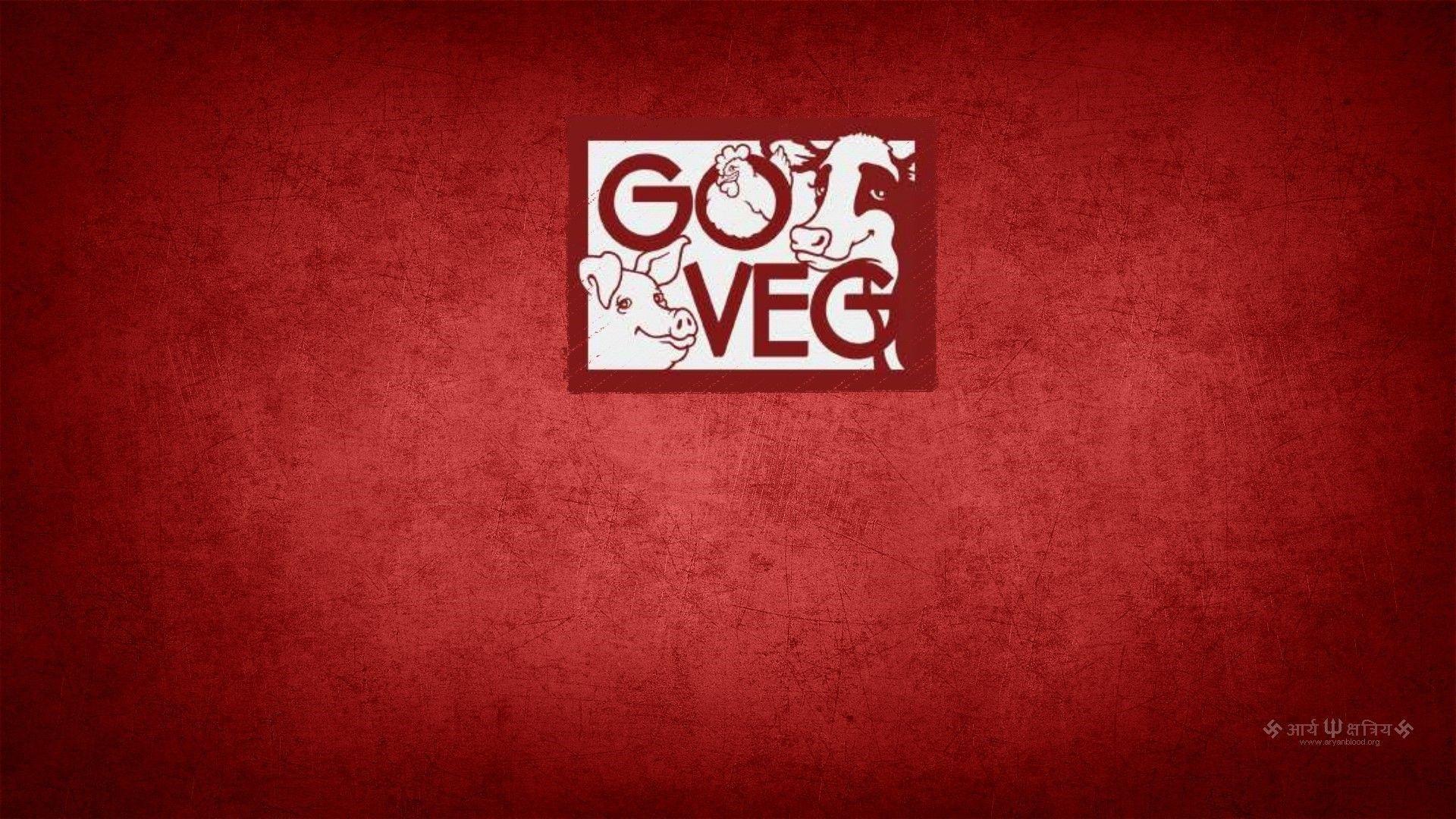 Vegan Wallpapers Wallpaper Cave