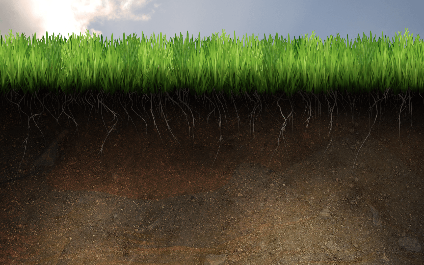 Soil Wallpapers Wallpaper Cave