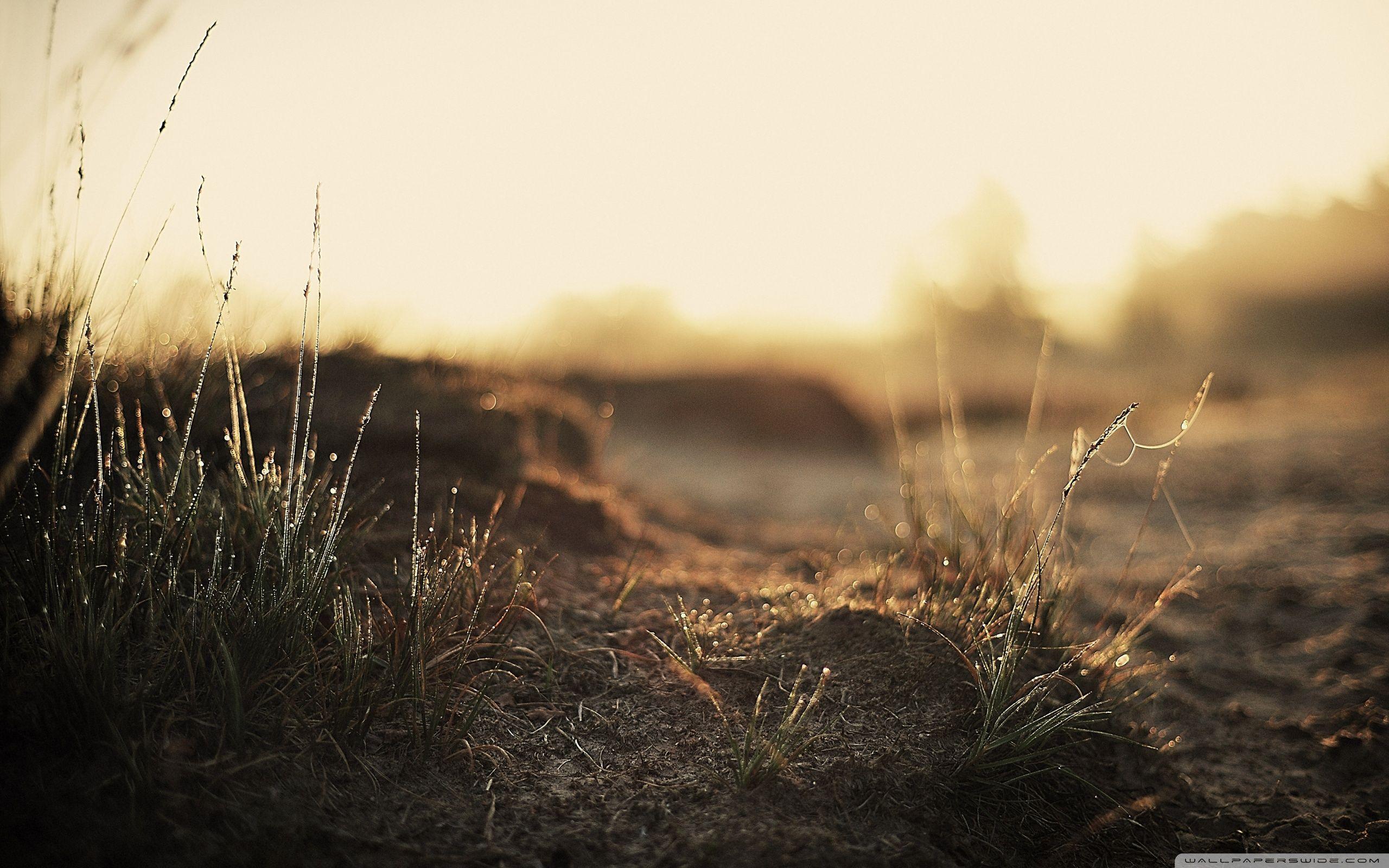 Soil Wallpapers Wallpaper Cave