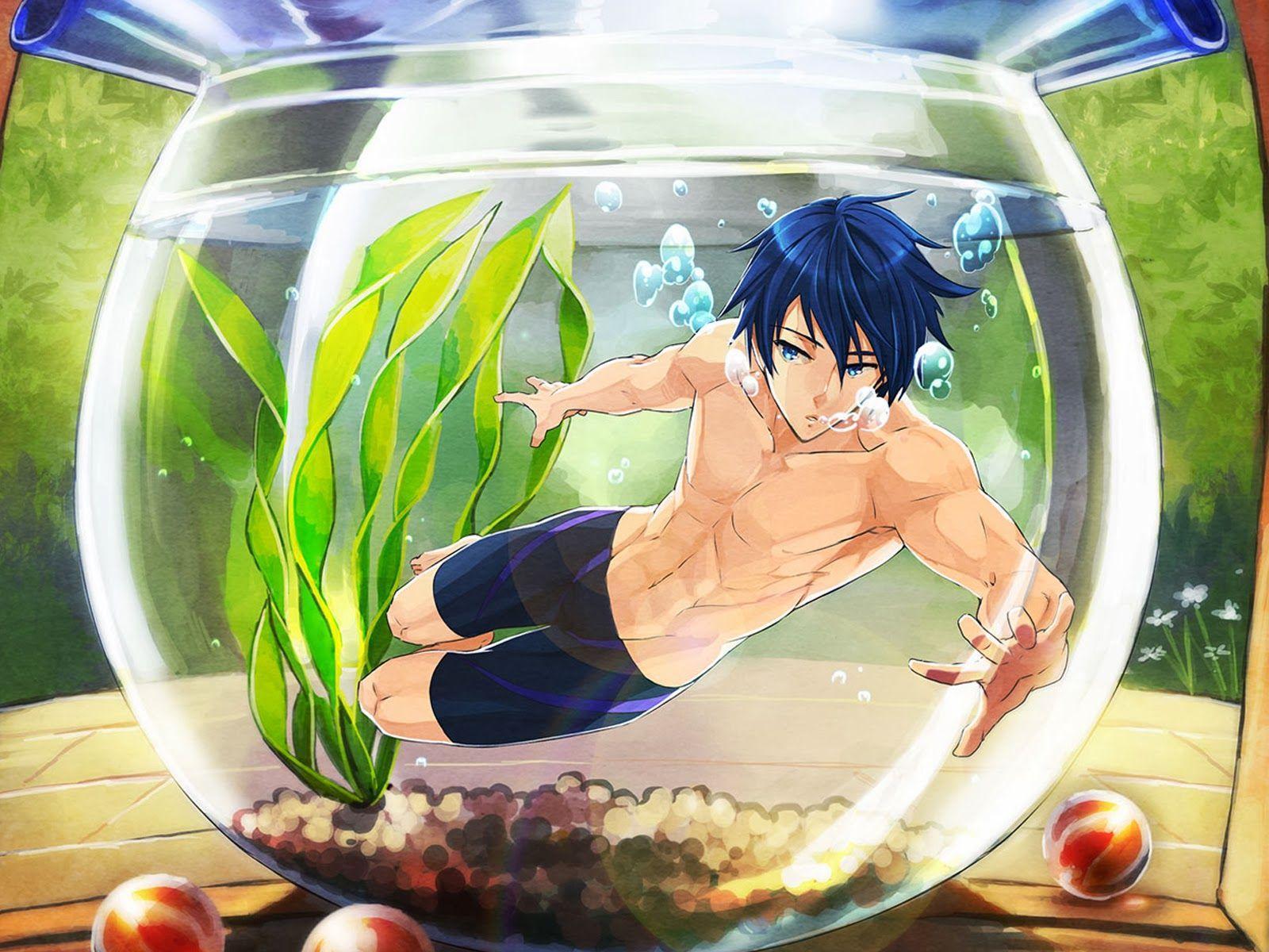 Iwatobi Swim Club Wallpapers Wallpaper Cave