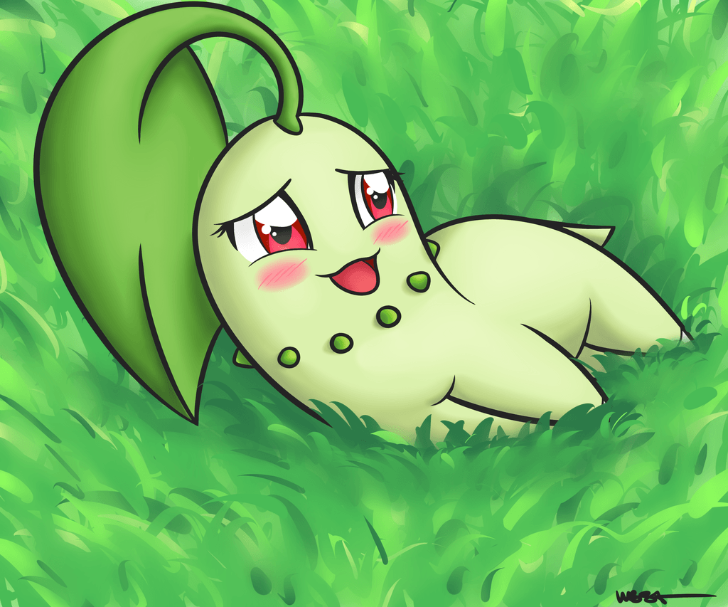 Chikorita Wallpapers Wallpaper Cave