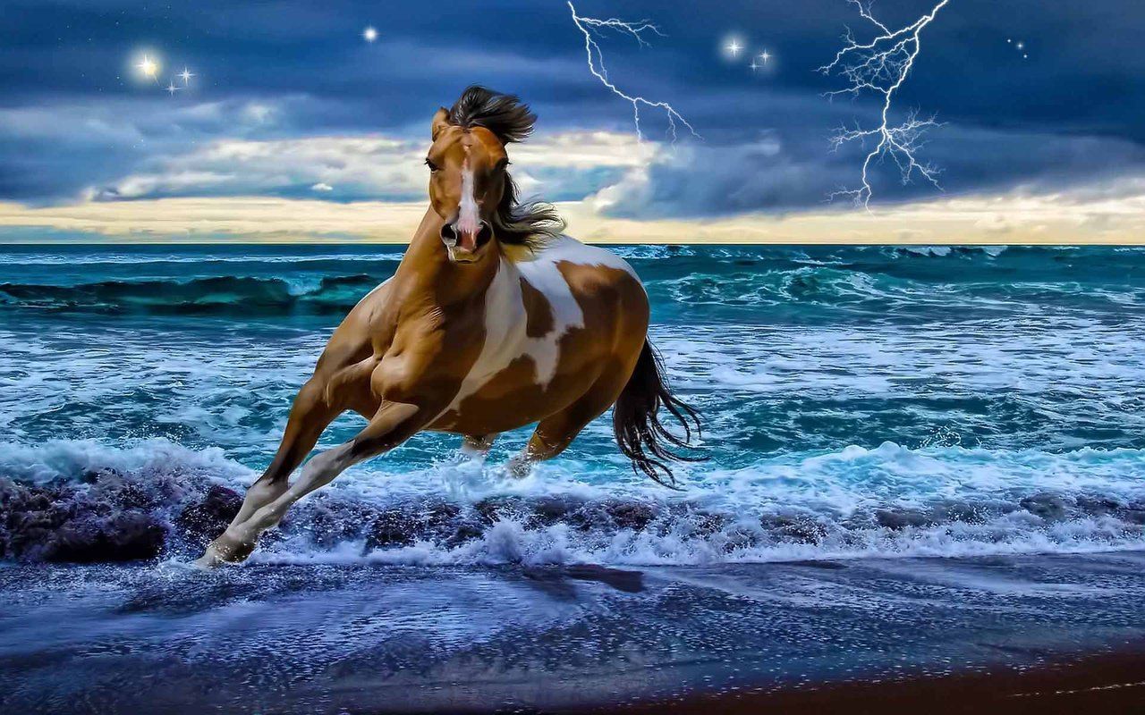 Thunder Horses Wallpapers Wallpaper Cave