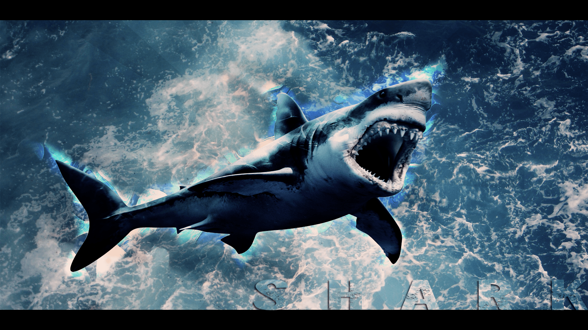 Megalodon Wallpapers Wallpaper Cave