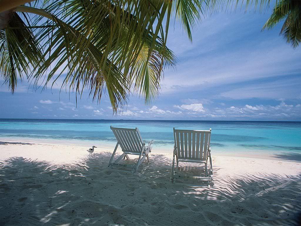 Chairs On The Beach Wallpapers Wallpaper Cave