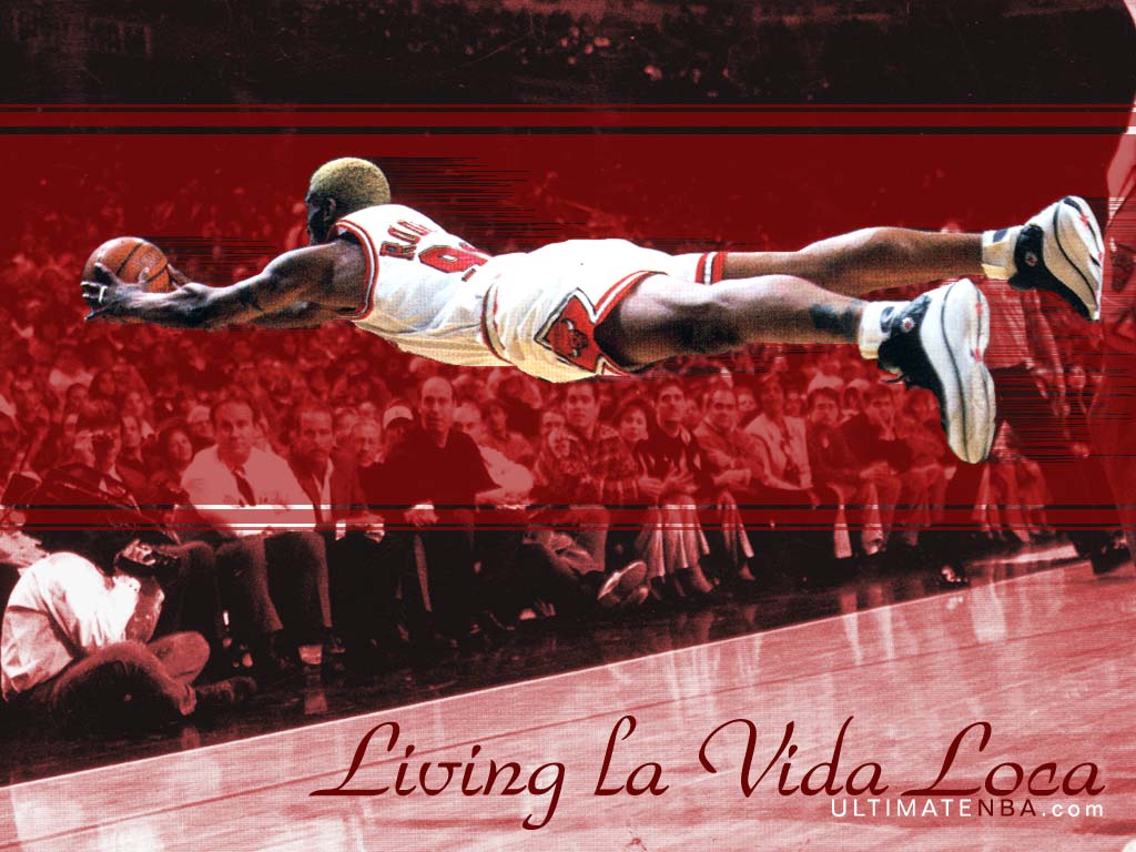 Dennis Rodman Wallpapers Wallpaper Cave
