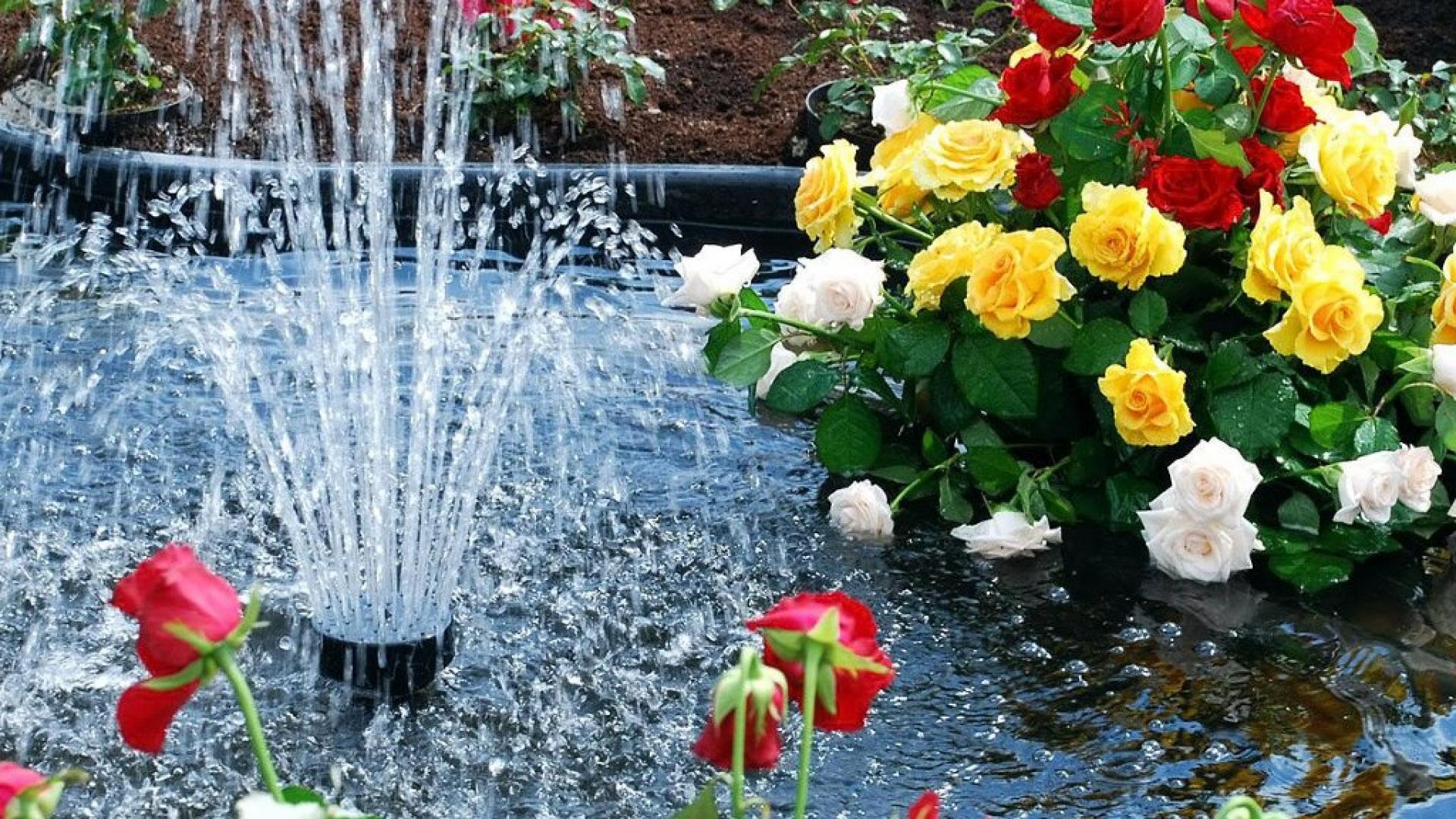 Fountain Wallpapers Wallpaper Cave