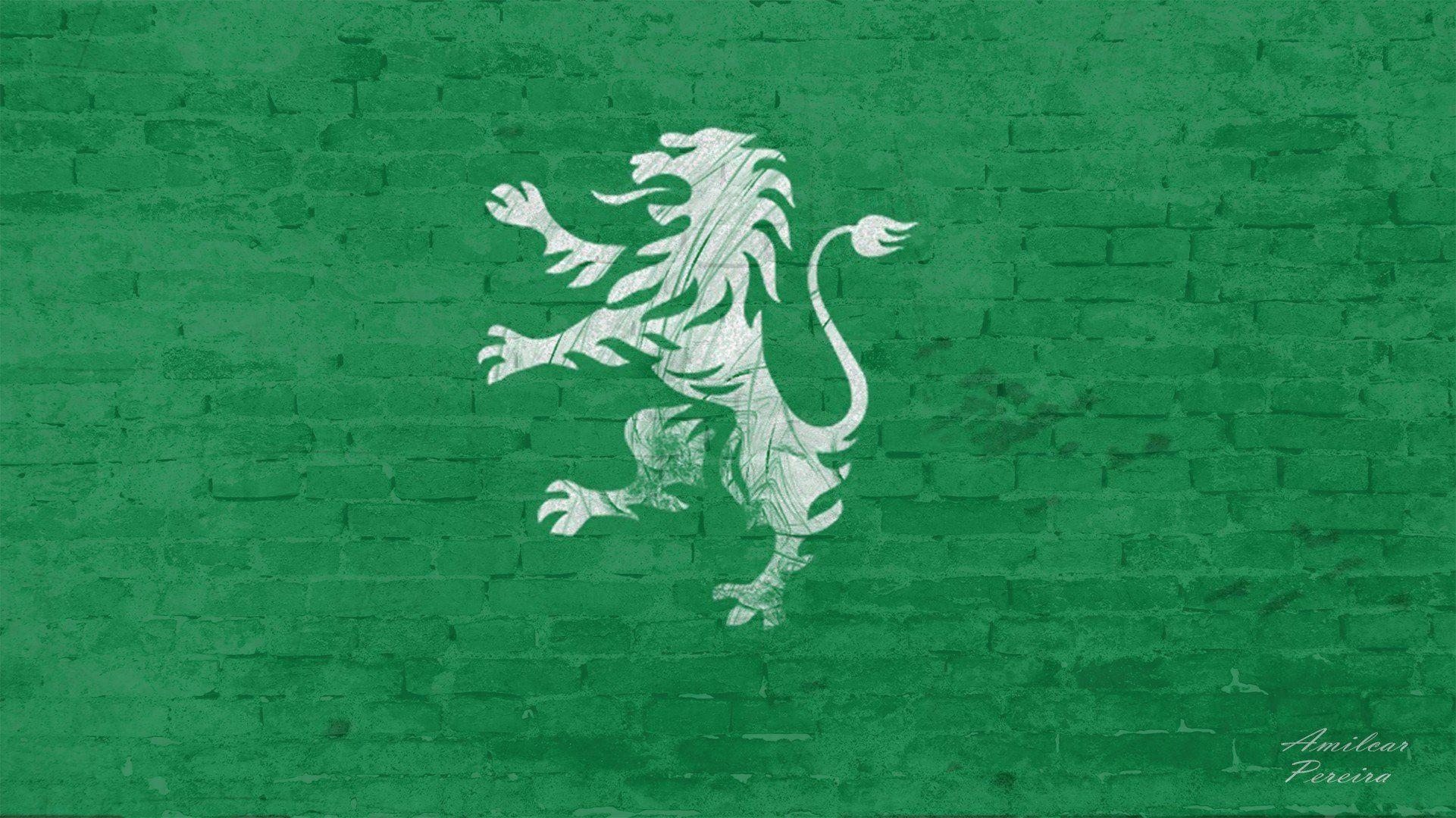 Sporting CP Wallpapers Wallpaper Cave