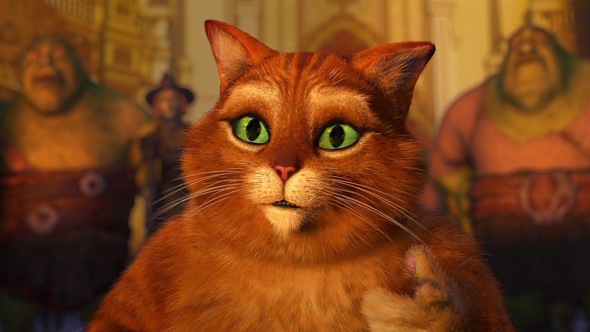 Puss In Boots Wallpapers Wallpaper Cave