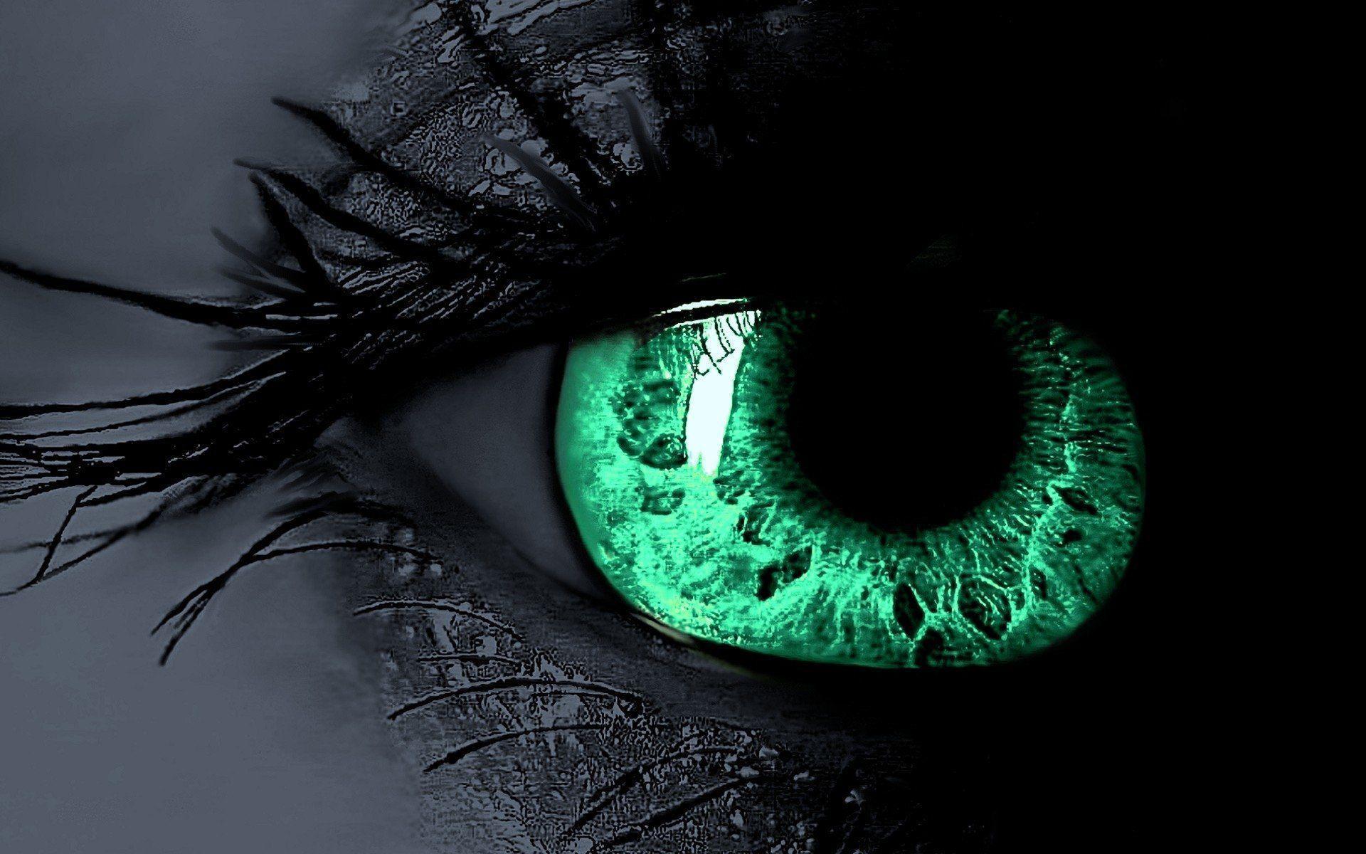 Green Eyes Wallpapers HD Wallpaper Cave