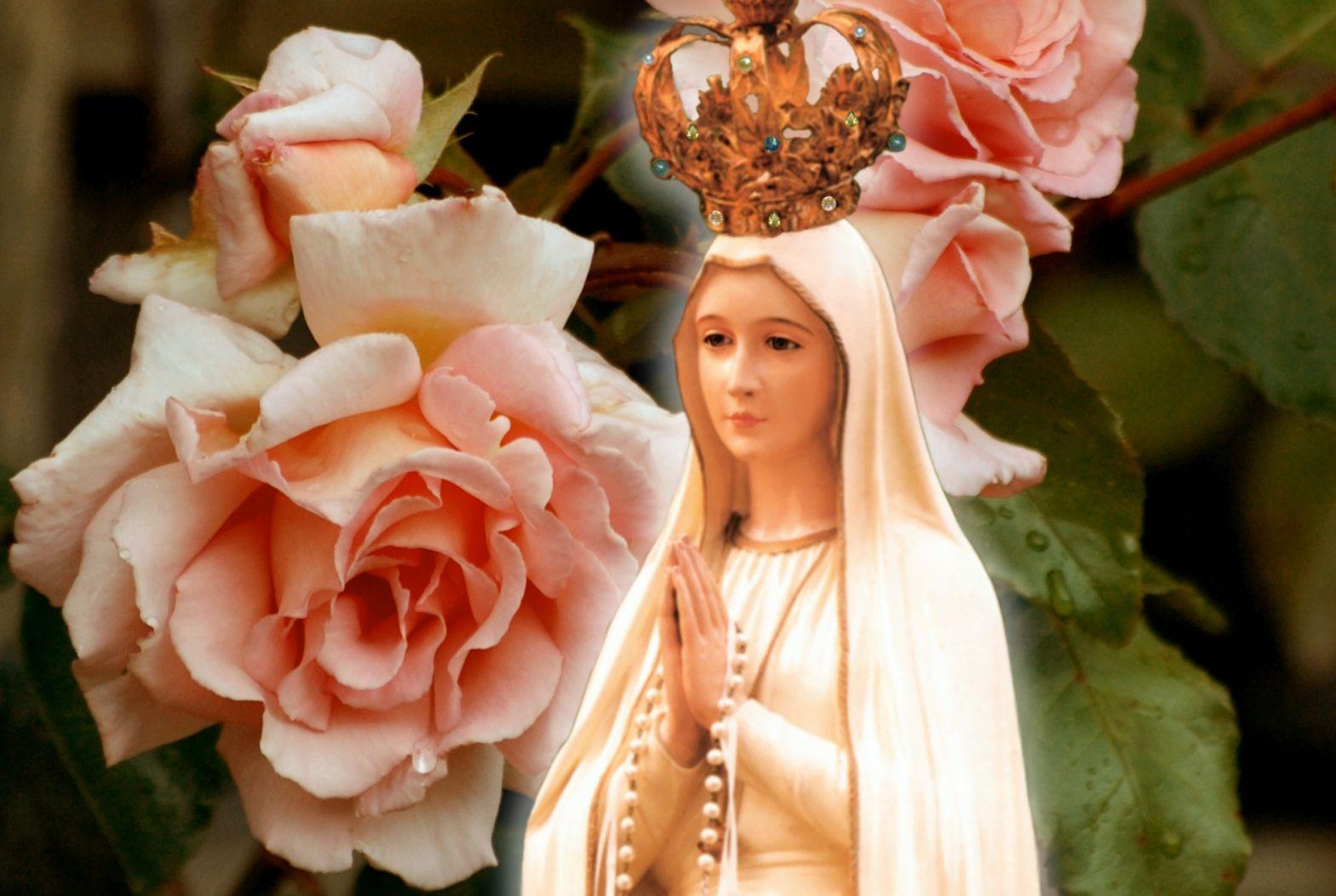 Our Lady Of Fátima Wallpapers Wallpaper Cave