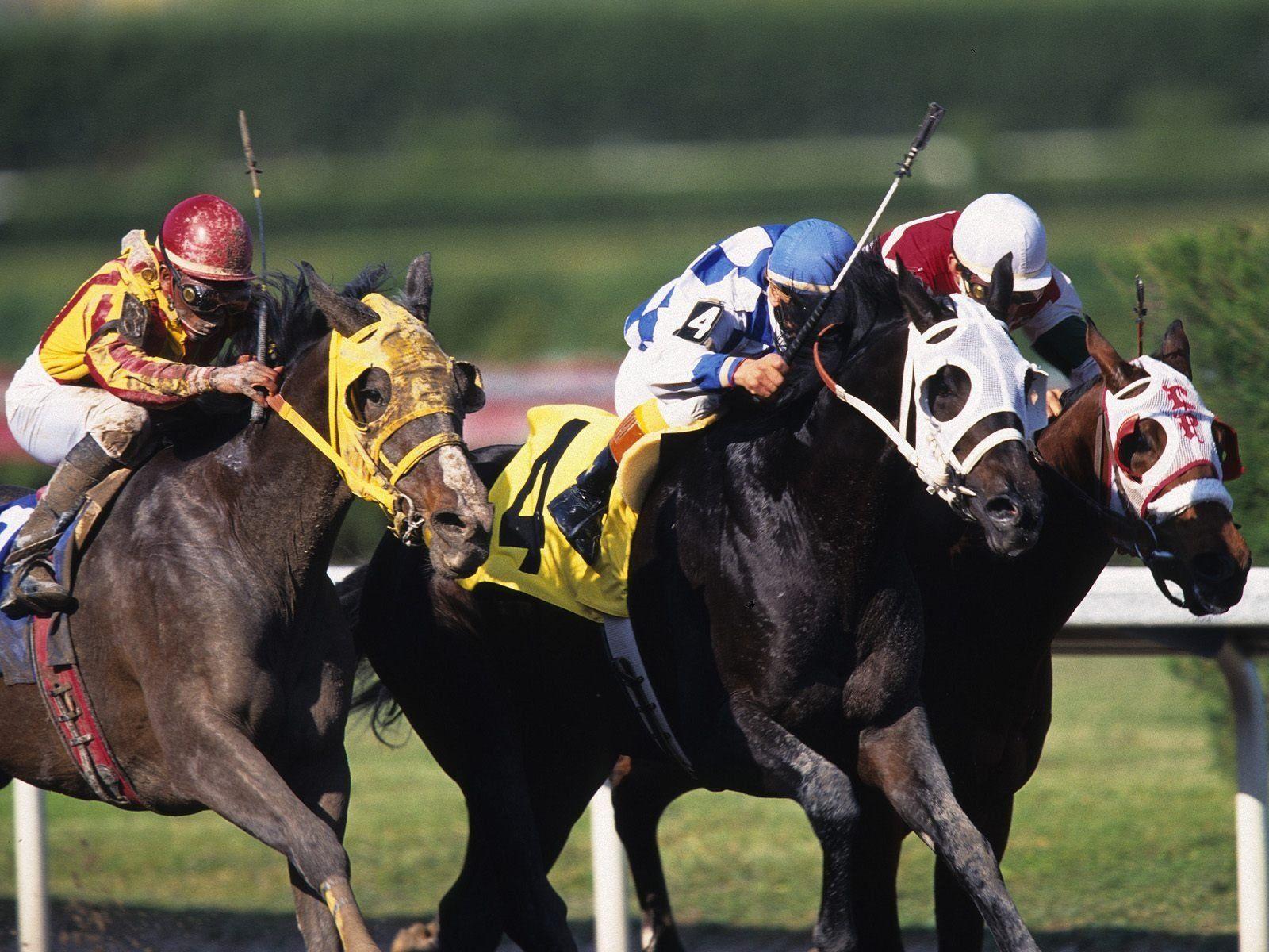 Race Horses Wallpapers Wallpaper Cave