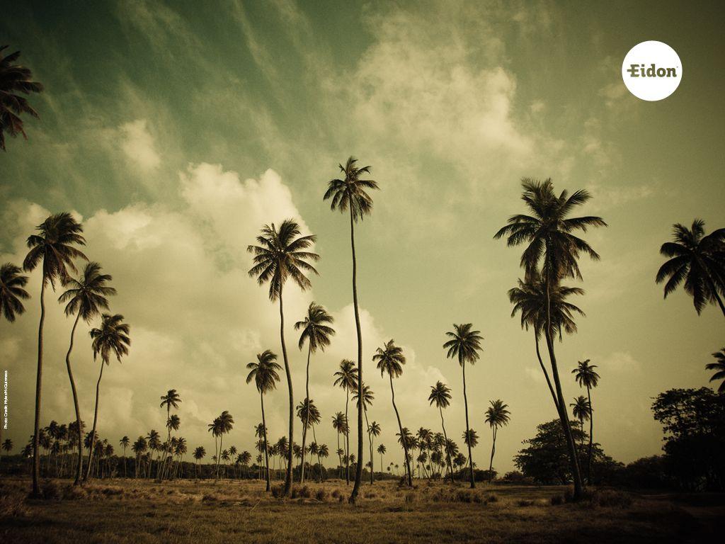 RVCA Wallpapers Wallpaper Cave