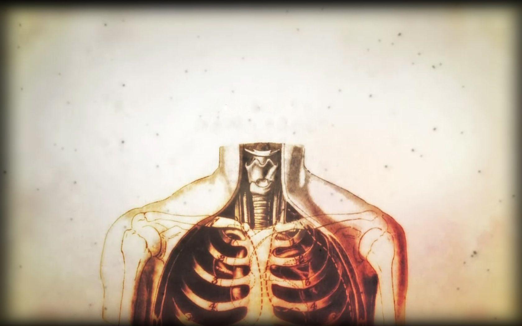 Human Body Wallpapers Wallpaper Cave