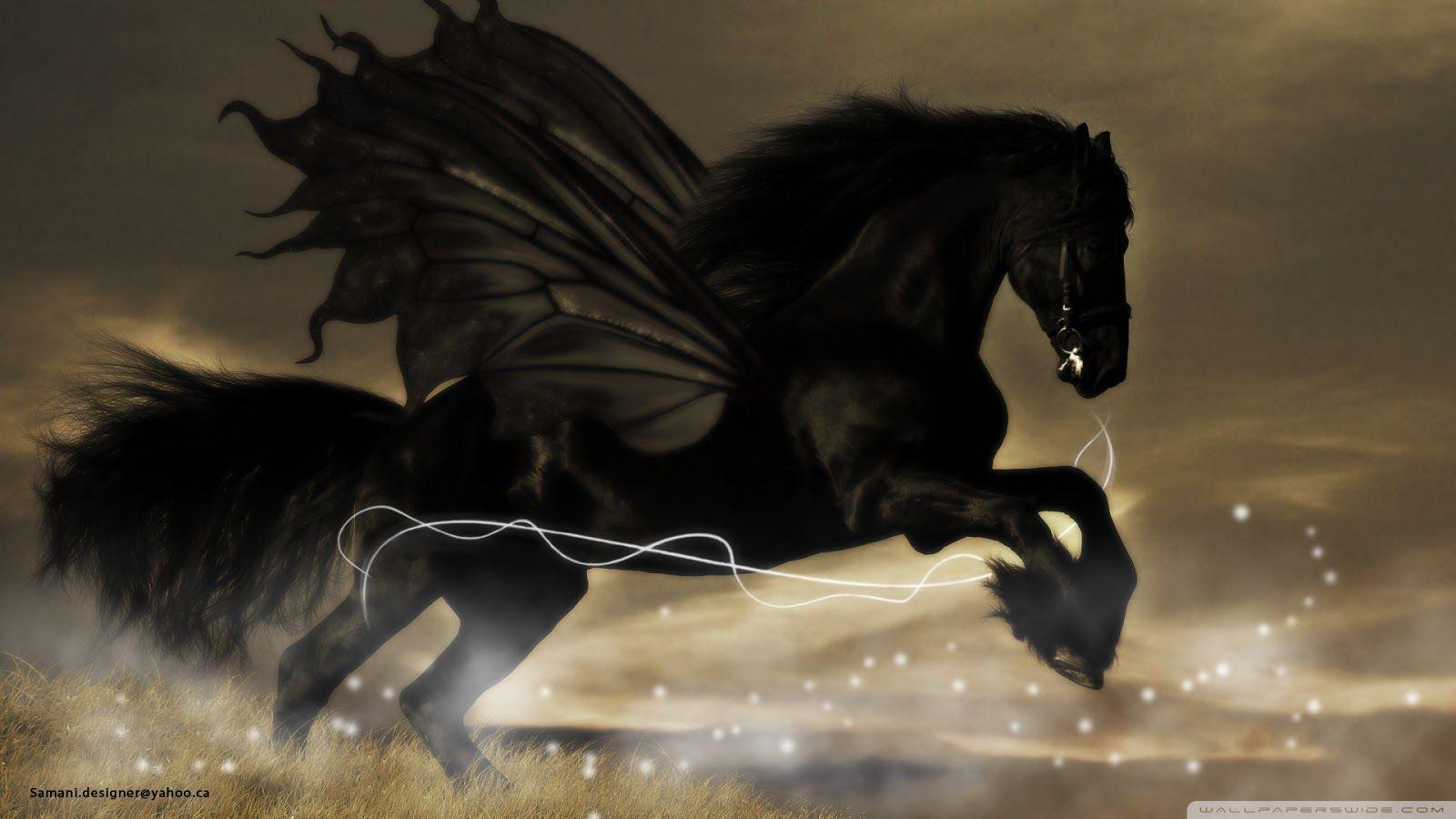 Black Horse Wallpapers Wallpaper Cave