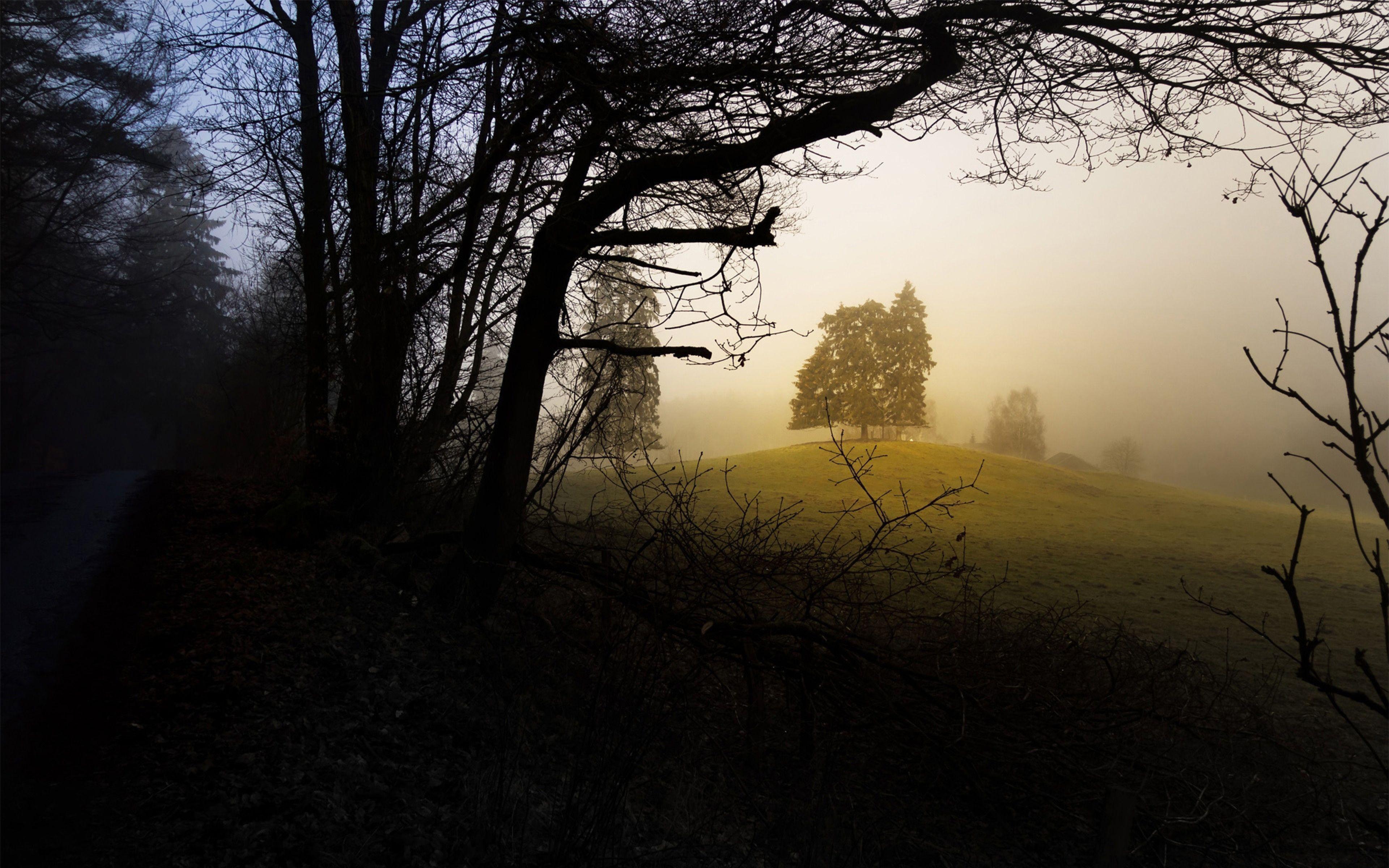Mistery Wallpapers Wallpaper Cave