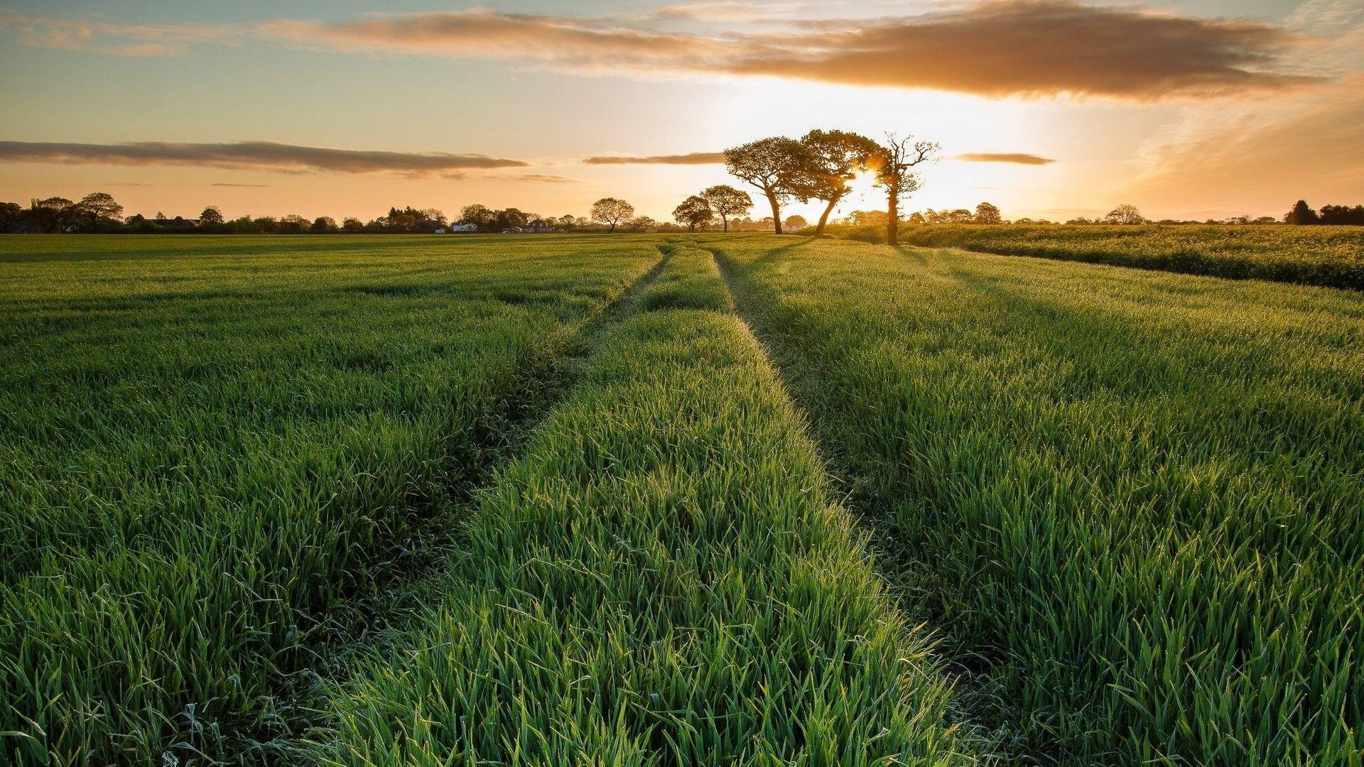 Bangladesh Wallpapers Wallpaper Cave