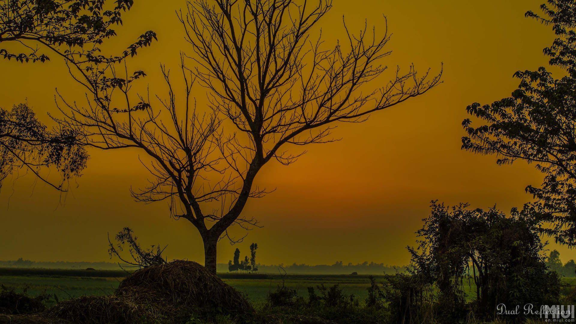 Wallpaper For Room Wall Price In Bangladesh Bangladesh Nature Wallpapers Bogsoawasuoa Wallpaper