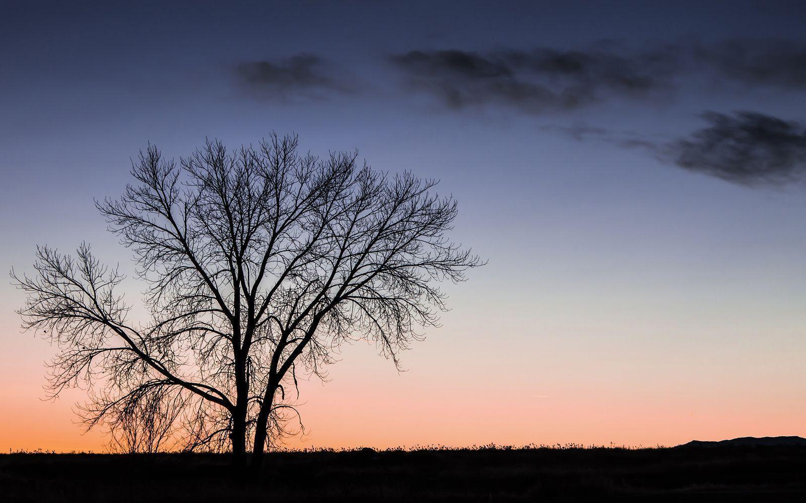 Xubuntu Wallpapers Wallpaper Cave