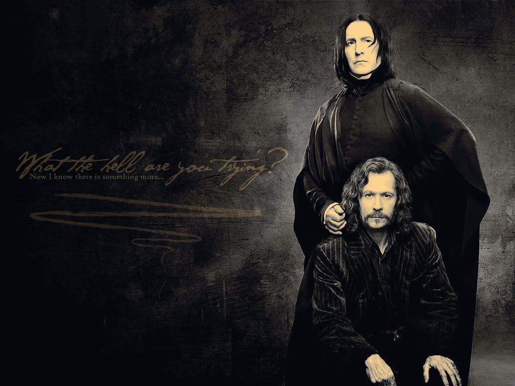 Sirius Black Wallpapers Wallpaper Cave