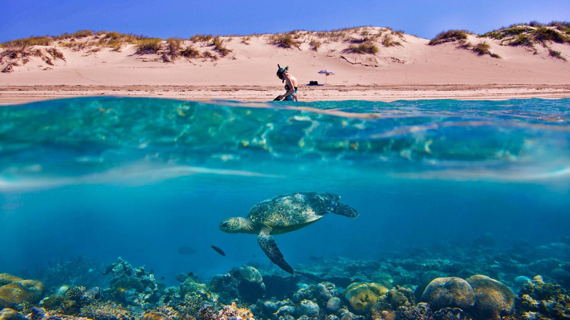 Underwater HD Wallpapers Wallpaper Cave