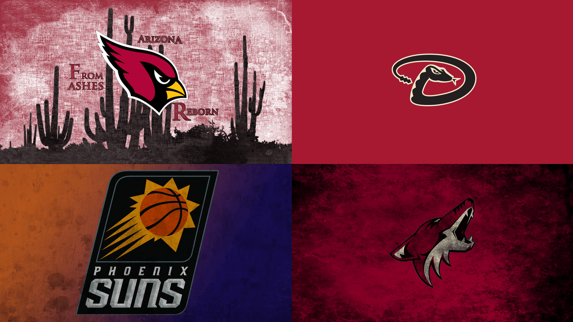 Arizona Coyotes Wallpapers Wallpaper Cave