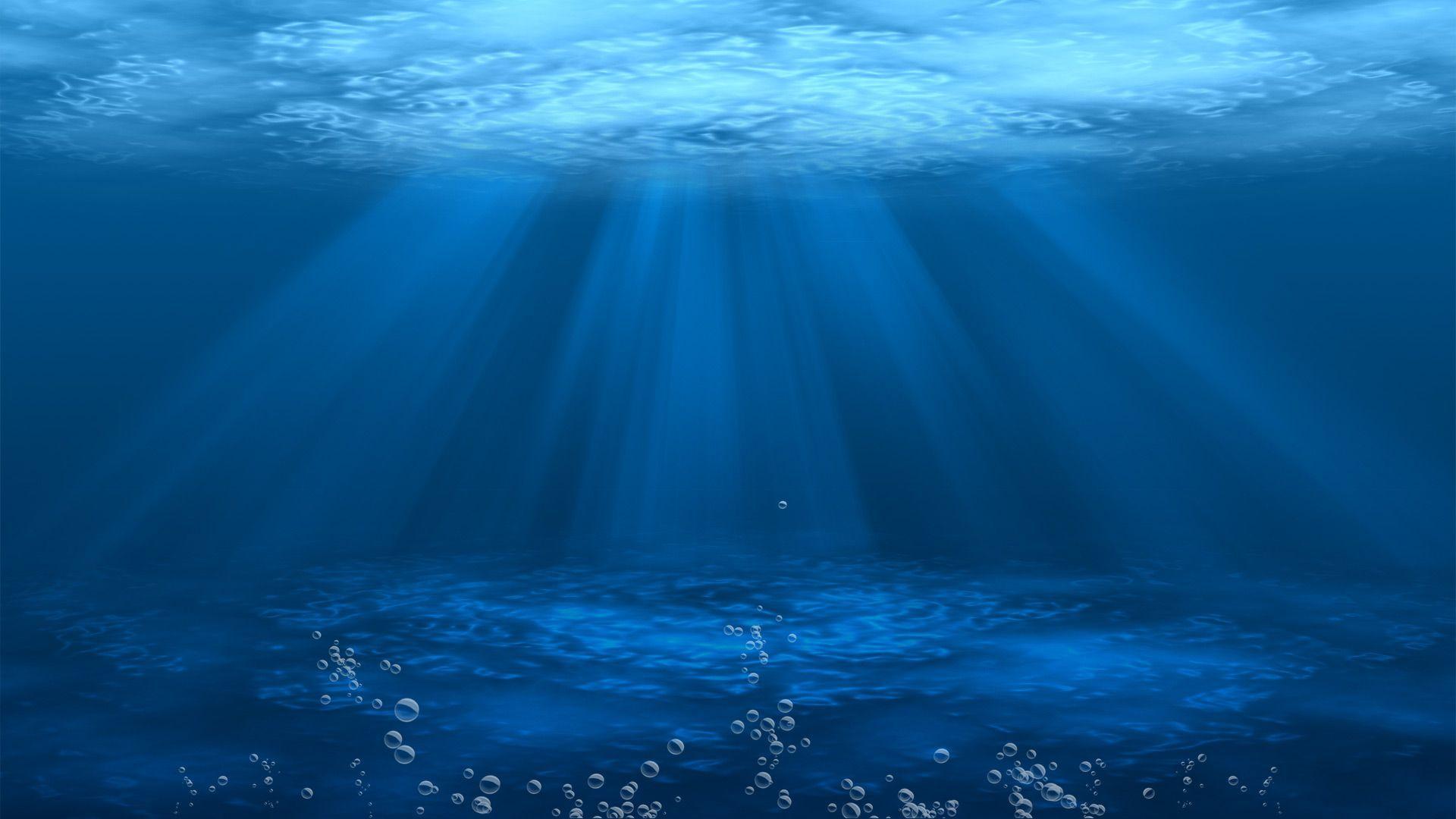 Undersea Wallpapers Wallpaper Cave