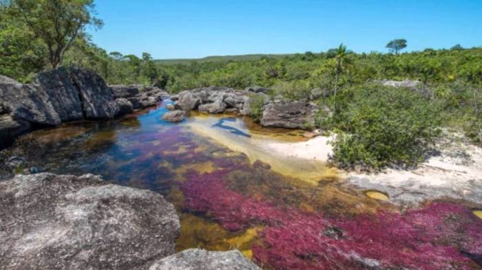 18 South African beach campsites worth looking out for What are the natural sciences courses