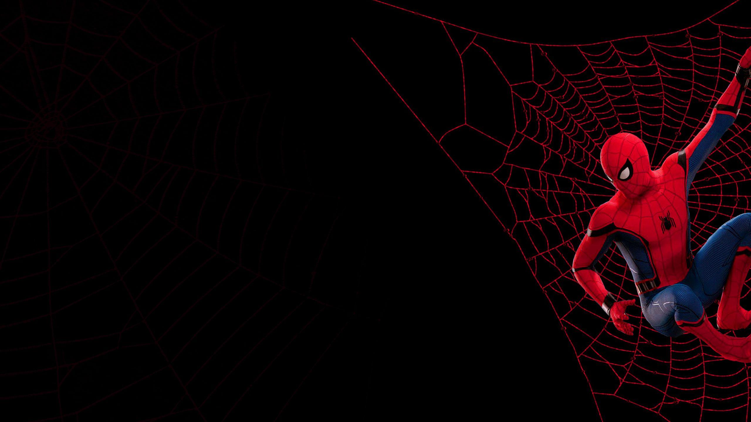 SpiderMan Wallpapers Wallpaper Cave