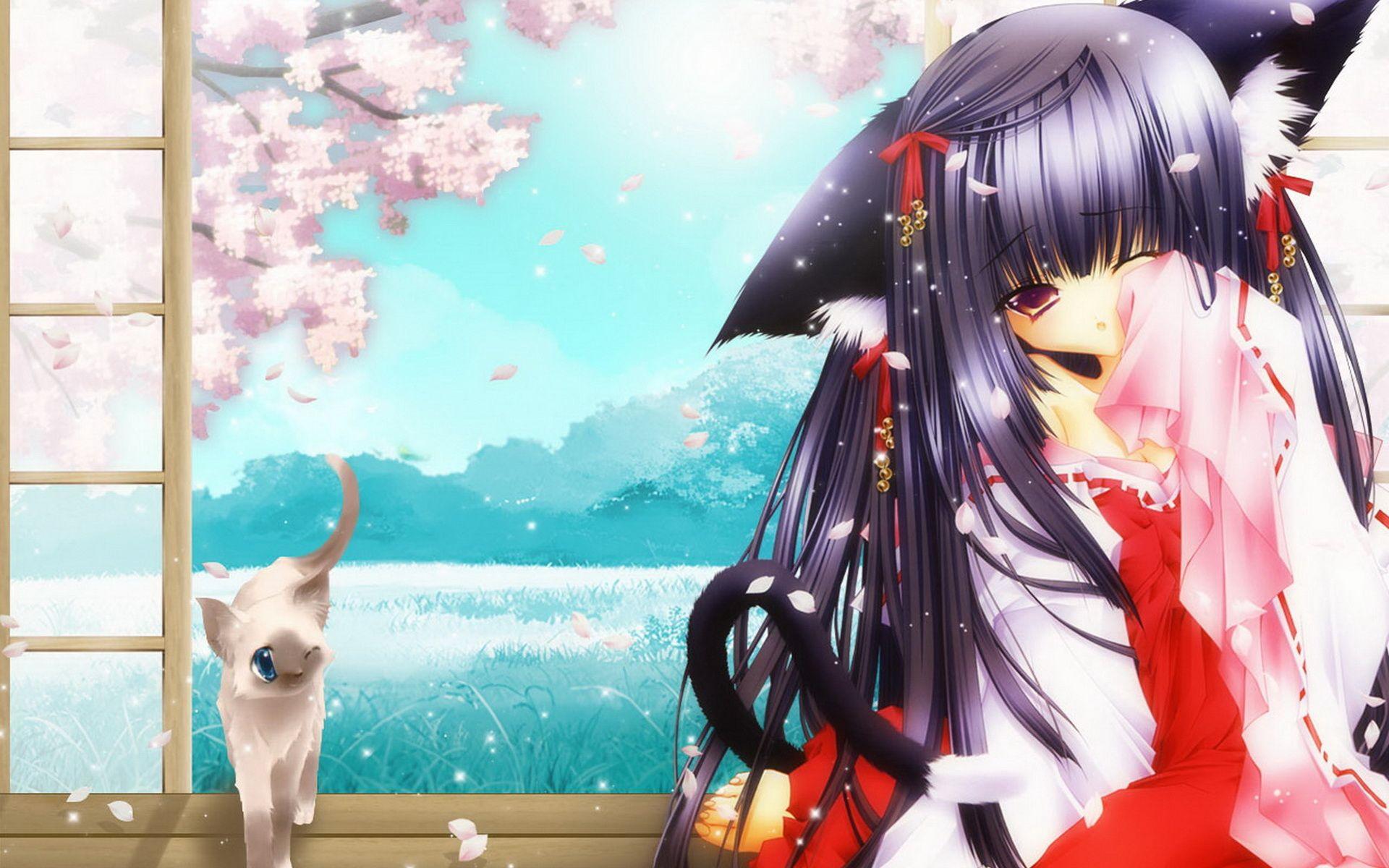 Catgirl Wallpapers Wallpaper Cave