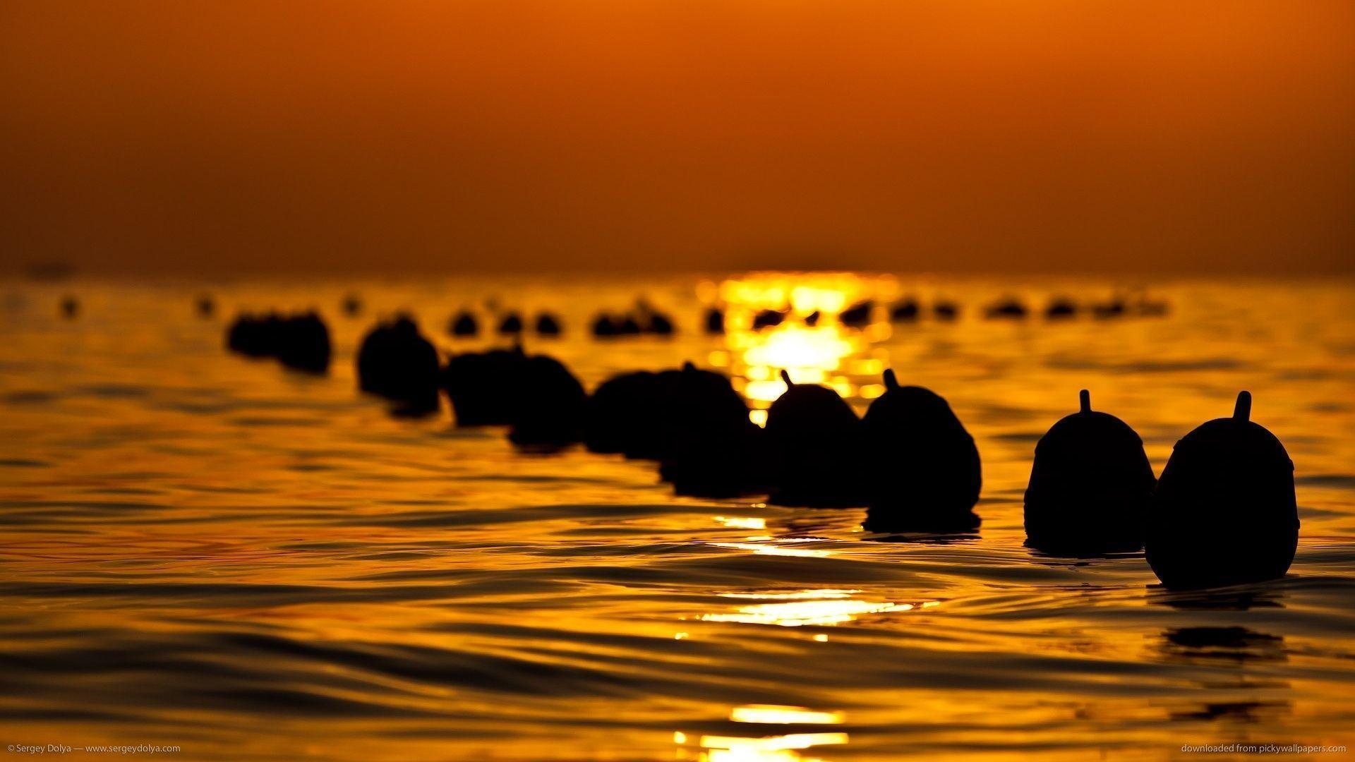 Lebanon Wallpapers Wallpaper Cave