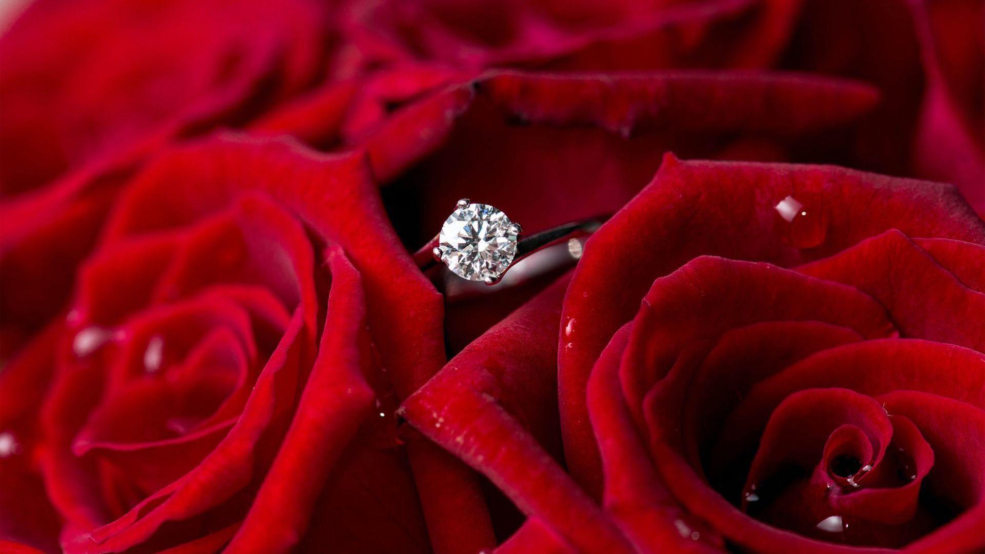 Flower Background For Engagement at Lisa Roy blog