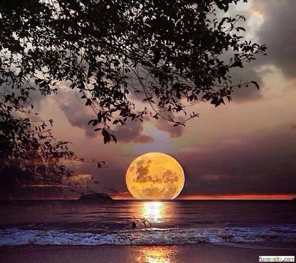 Full Moon Wallpapers Wallpaper Cave