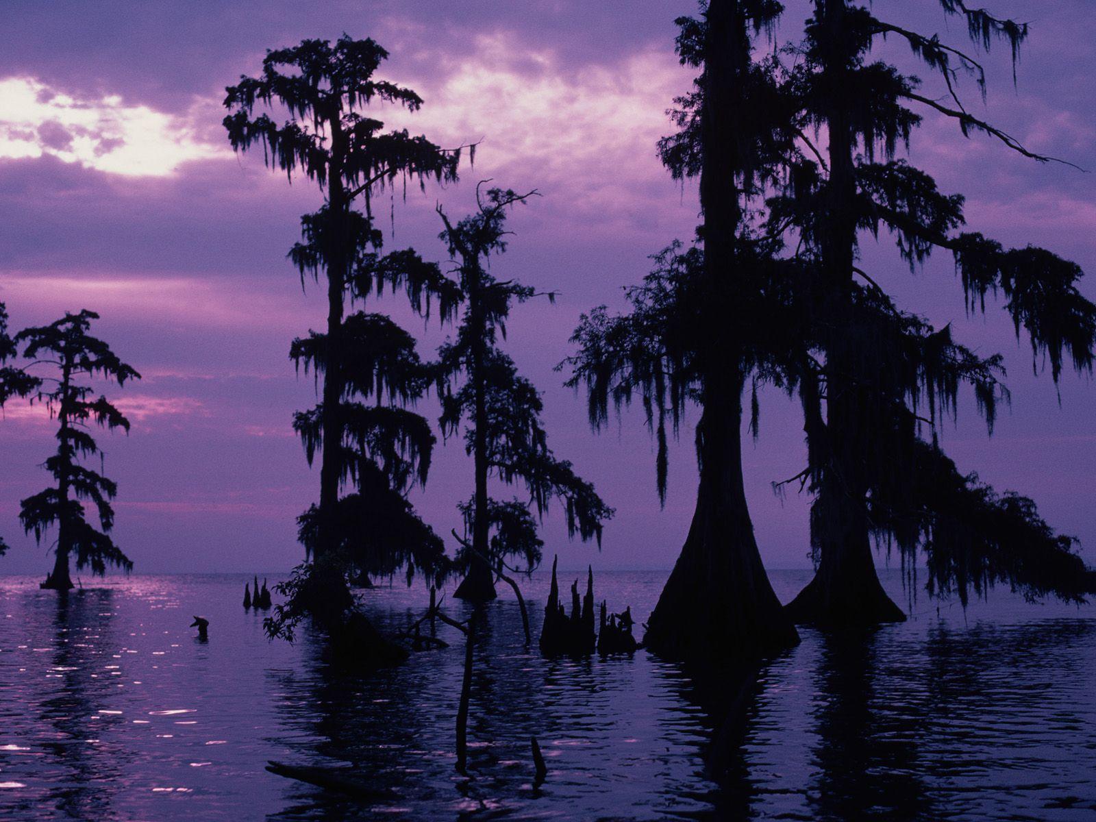 Louisiana Wallpapers Wallpaper Cave