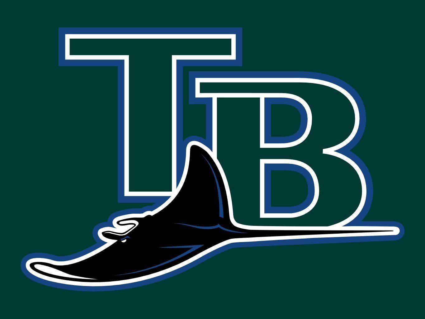 Tampa Bay Rays Wallpapers Wallpaper Cave