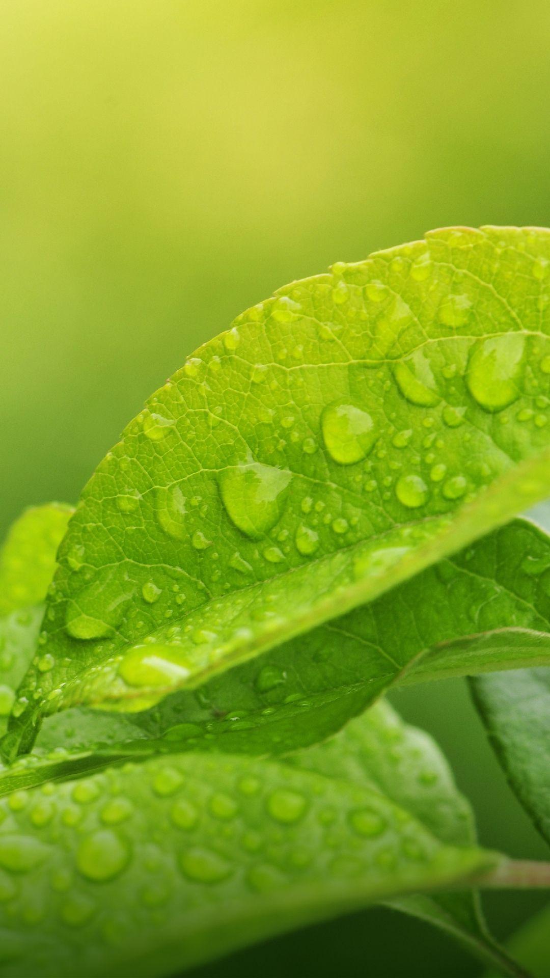 RedMi Wallpapers Wallpaper Cave