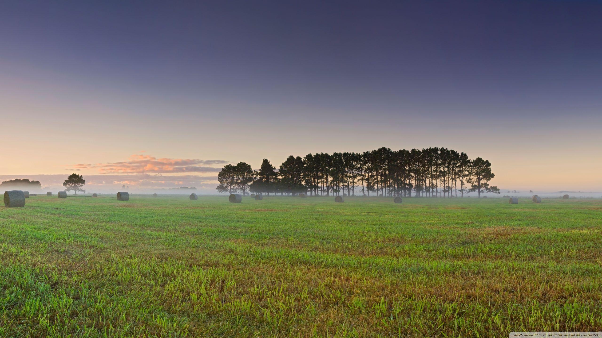 Crop Over Wallpapers Wallpaper Cave