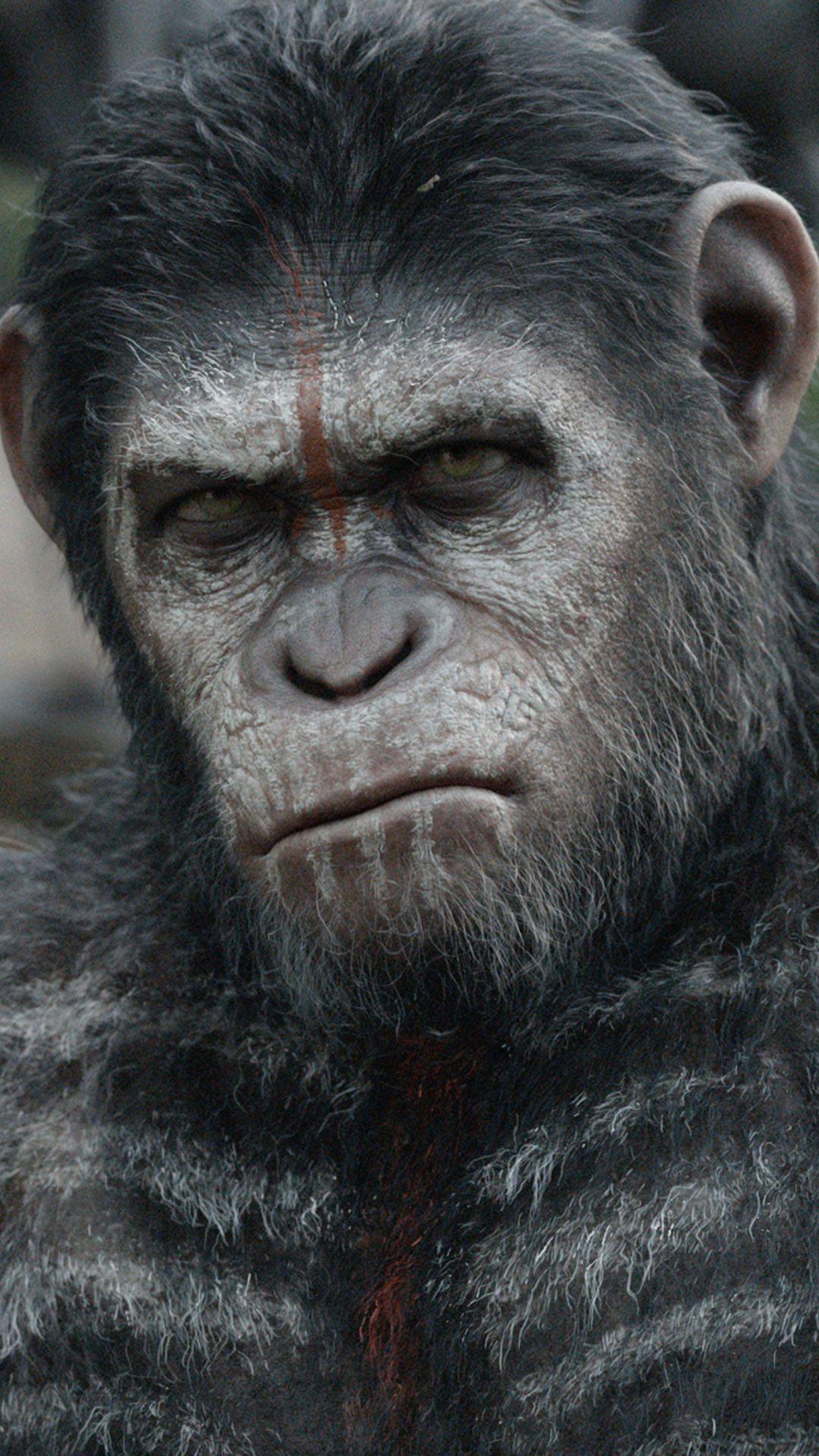 The Of The Apes Movie HD Mobile Wallpapers
