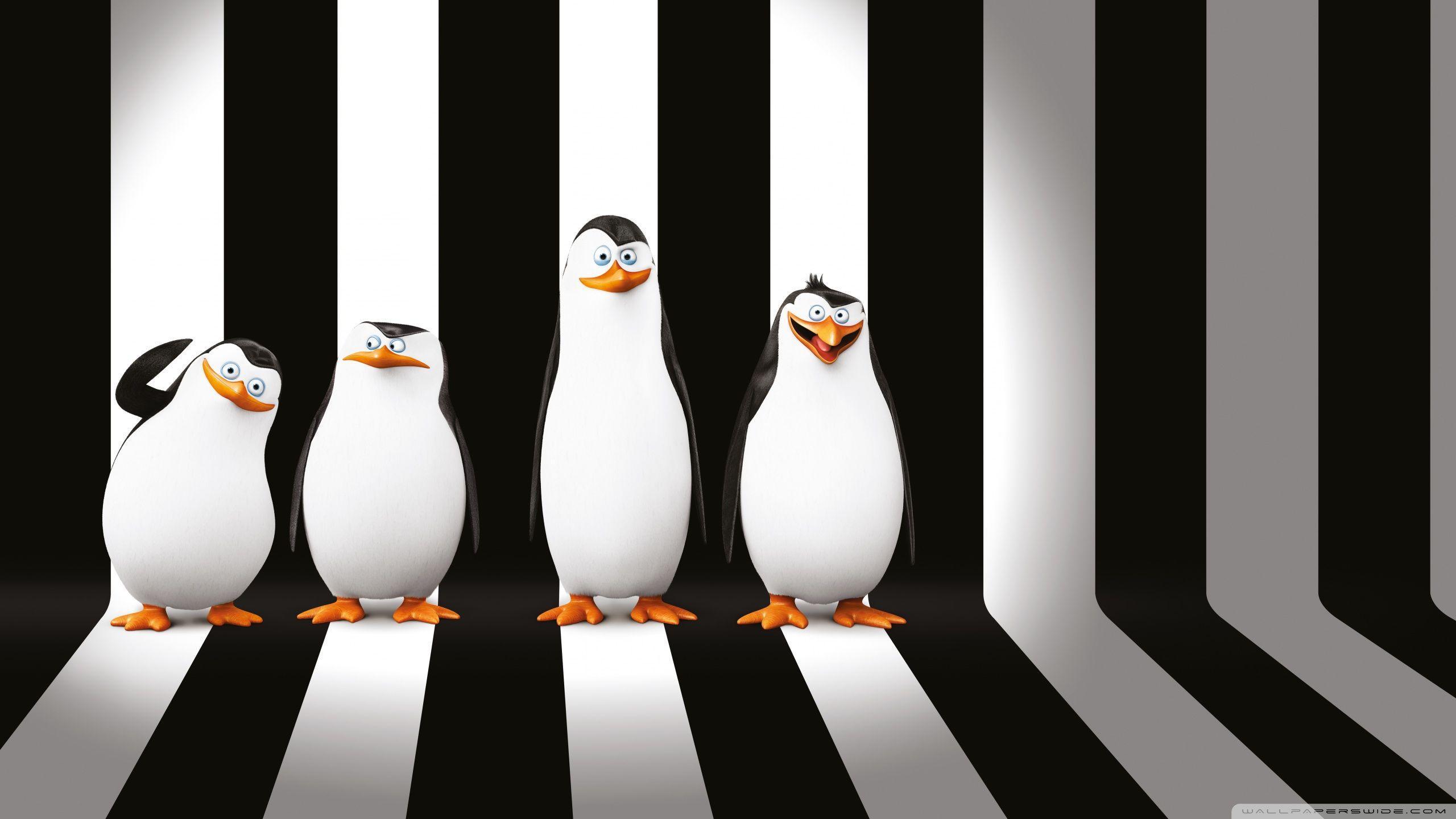 Penguins Of Madagascar Wallpapers Wallpaper Cave