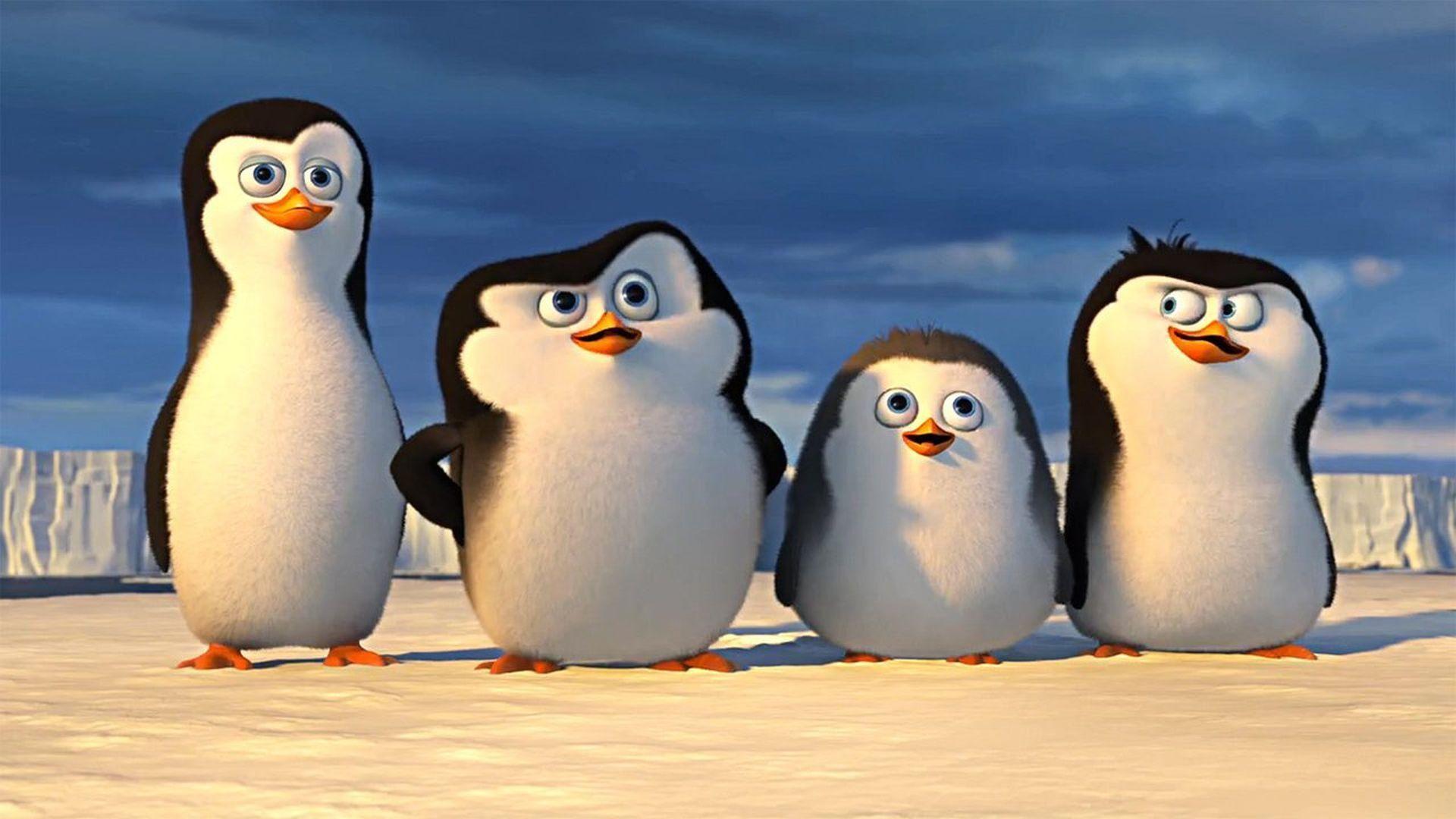 Penguins Of Madagascar Wallpapers Wallpaper Cave