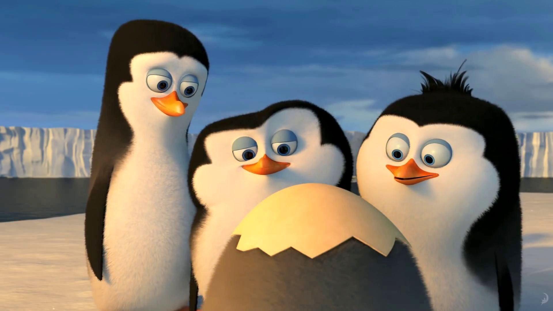 Penguins Of Madagascar Wallpapers Wallpaper Cave