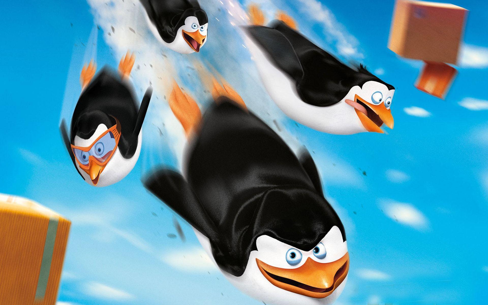 Penguins Of Madagascar Wallpapers Wallpaper Cave