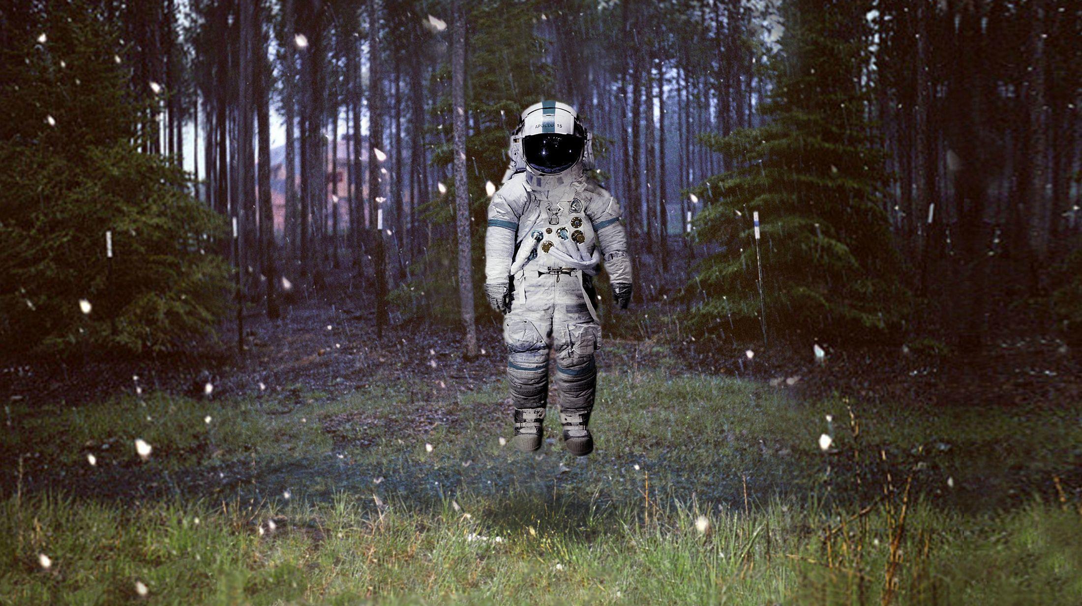 Brand New Wallpapers Wallpaper Cave