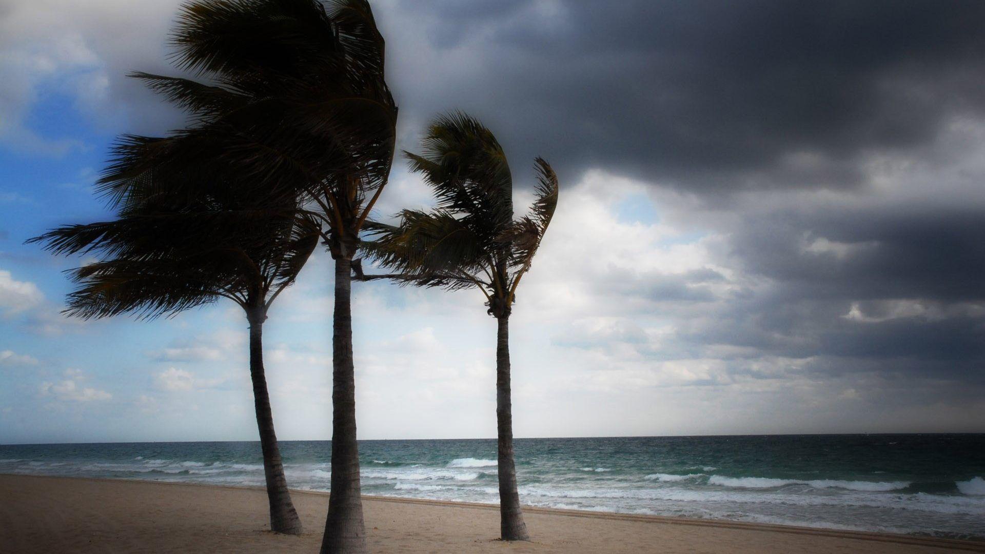 Windy Wallpapers - Wallpaper Cave