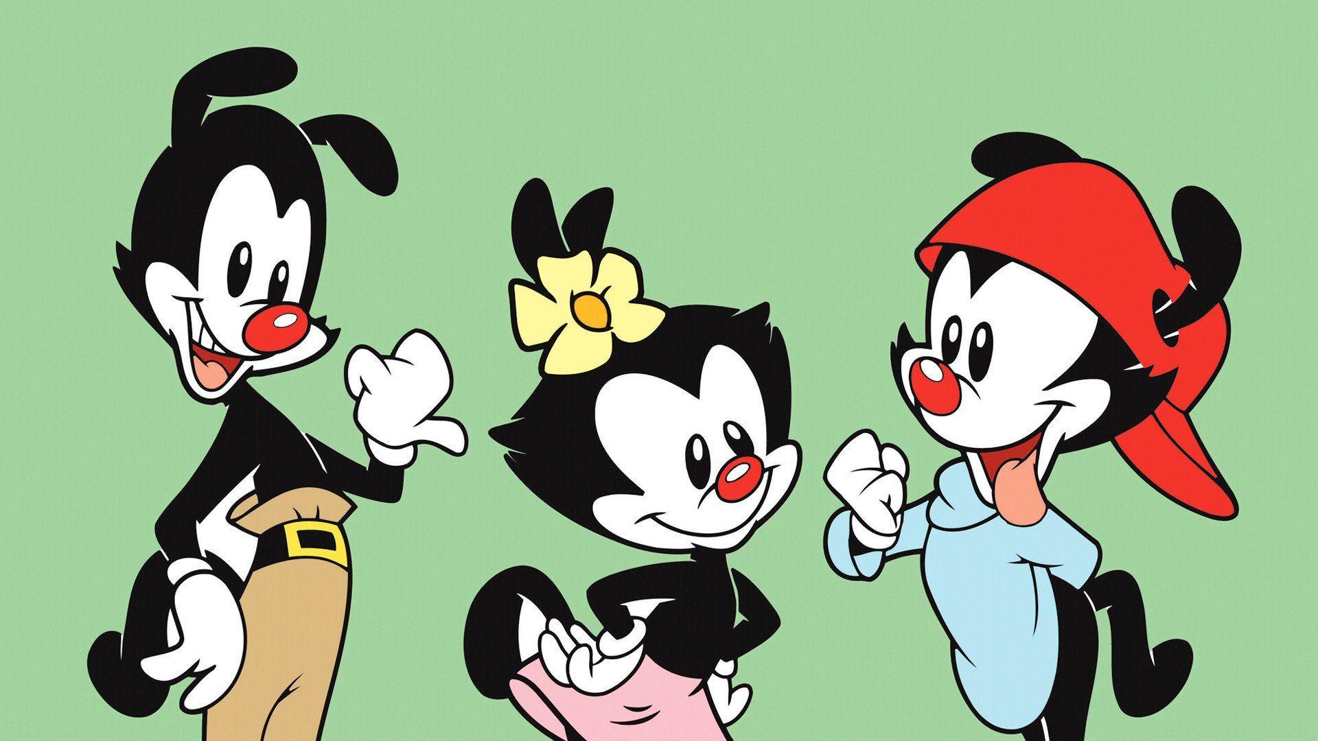 Animaniacs Wallpapers Wallpaper Cave