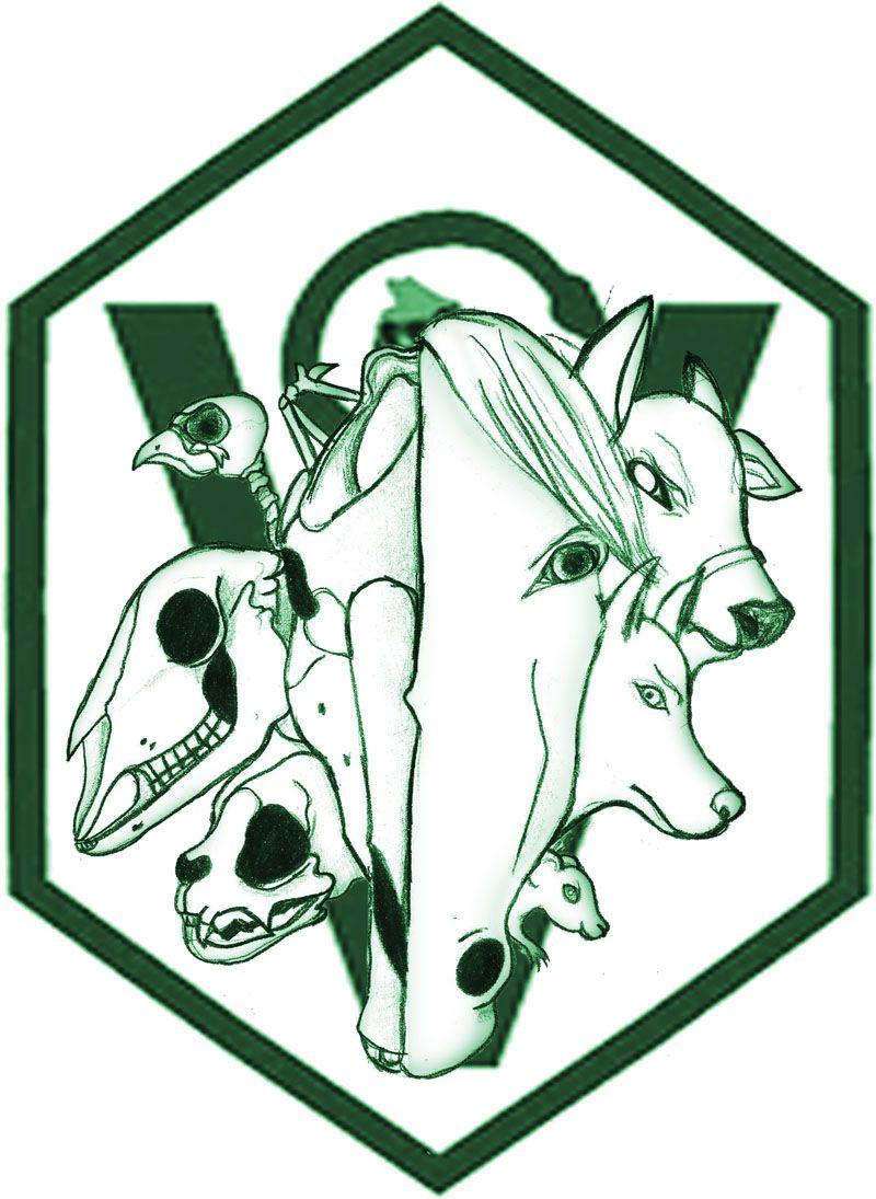 Veterinary Medicine Wallpapers Wallpaper Cave